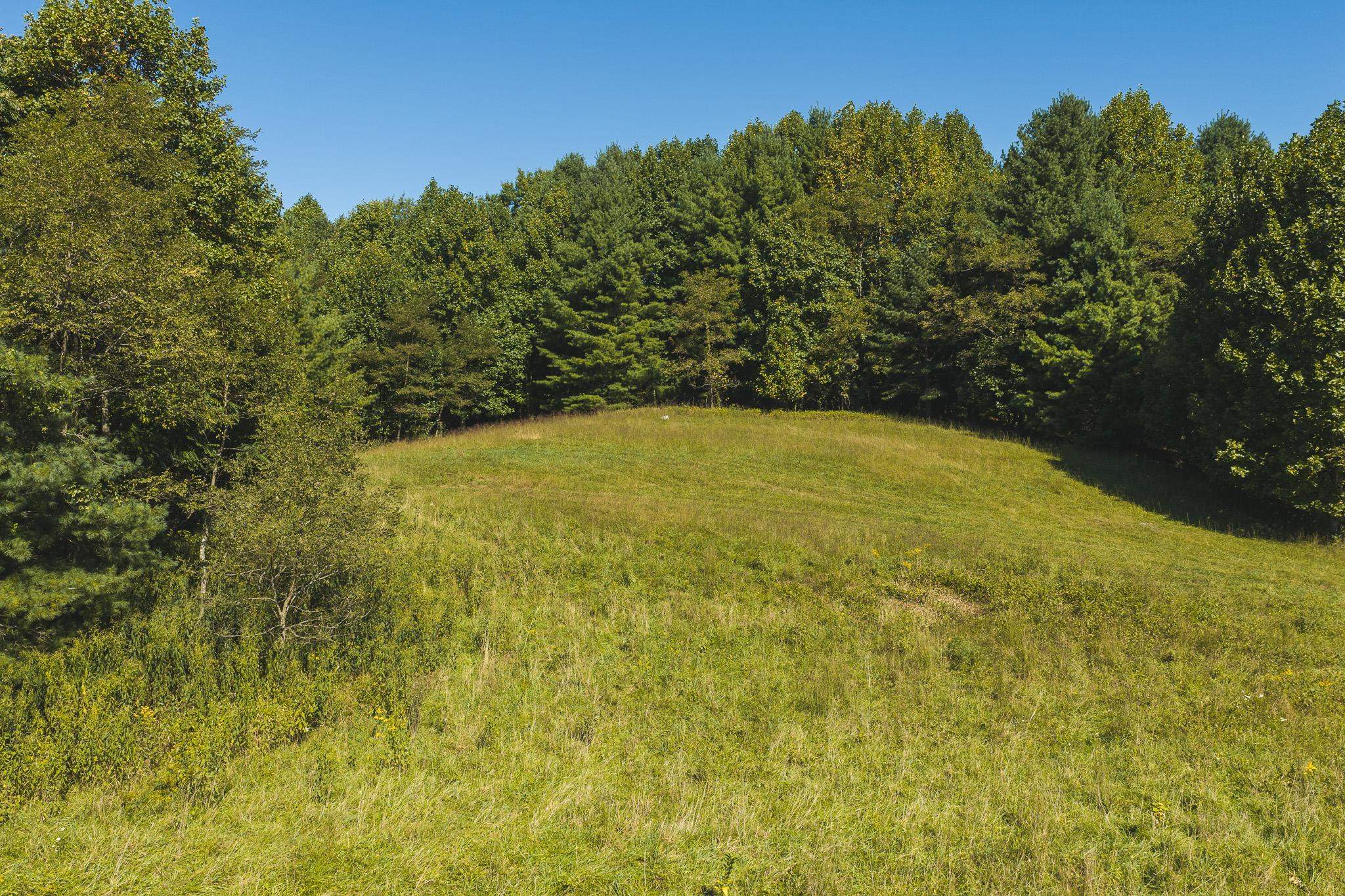 10568 Bottom Creek Road Bent Mountain VA 24059