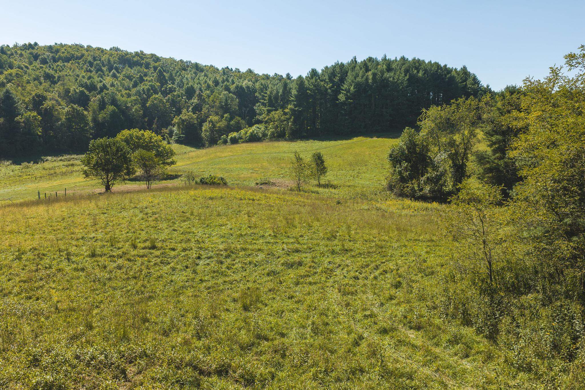 10568 Bottom Creek Road Bent Mountain VA 24059