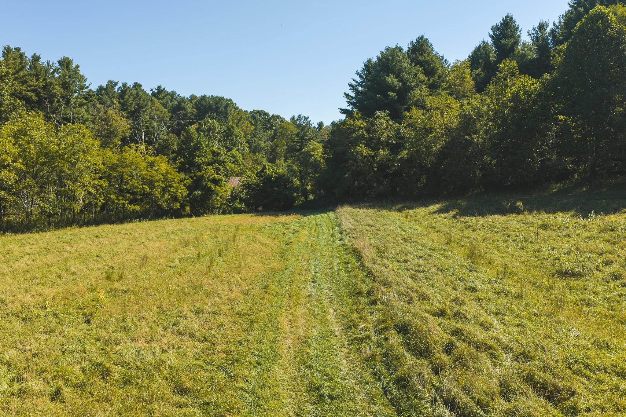 10568 Bottom Creek Road Bent Mountain VA 24059