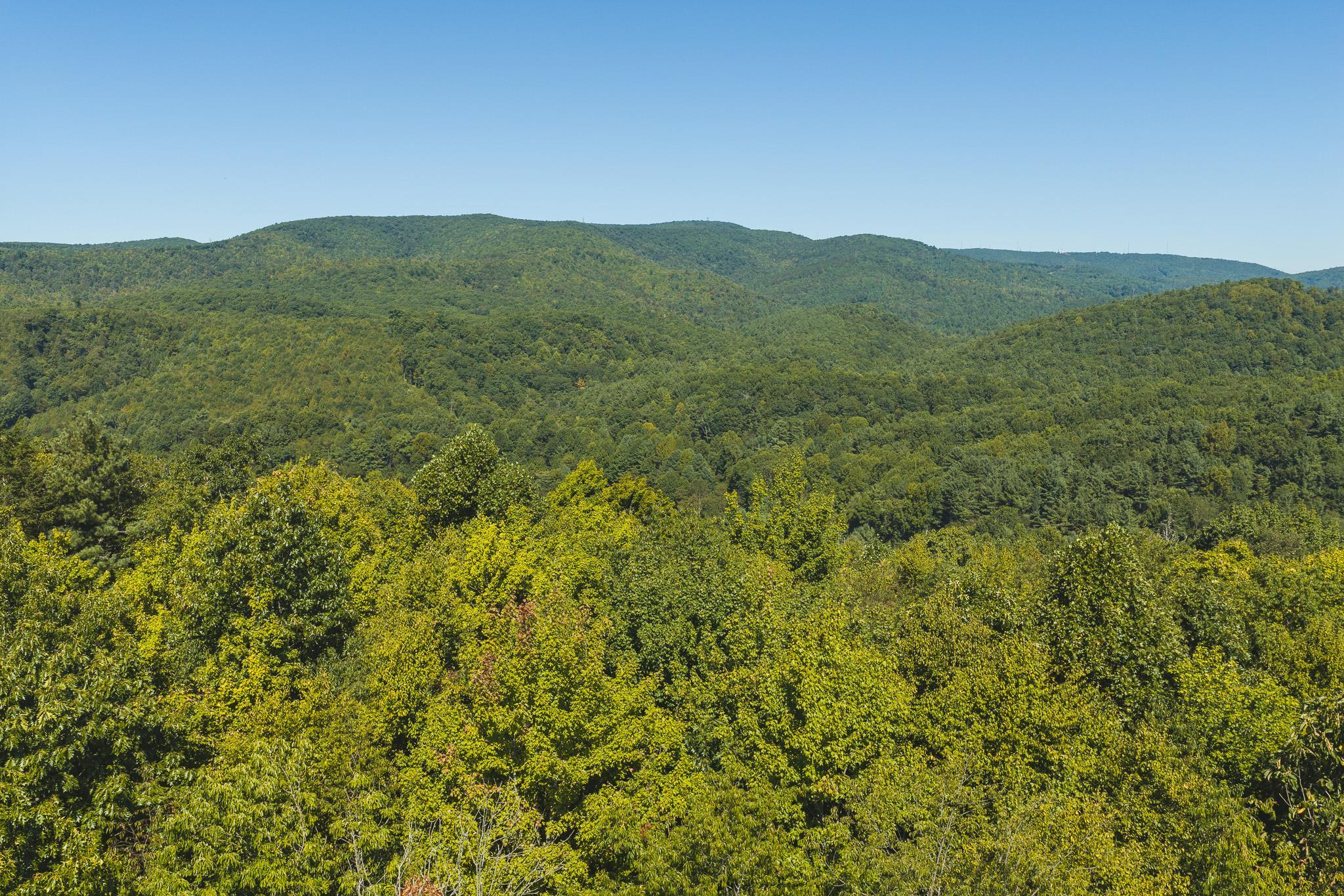 10568 Bottom Creek Road Bent Mountain VA 24059