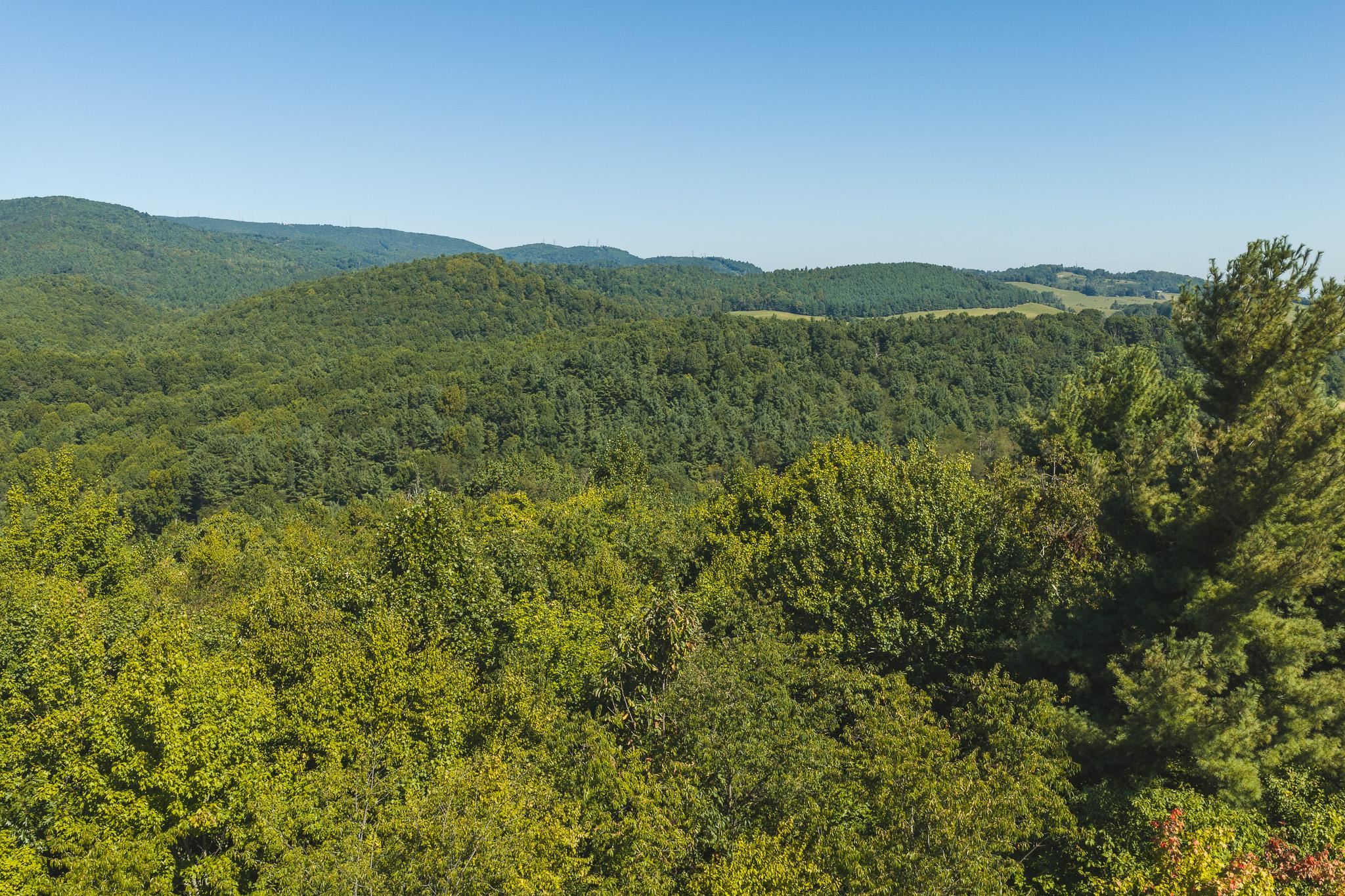 10568 Bottom Creek Road Bent Mountain VA 24059