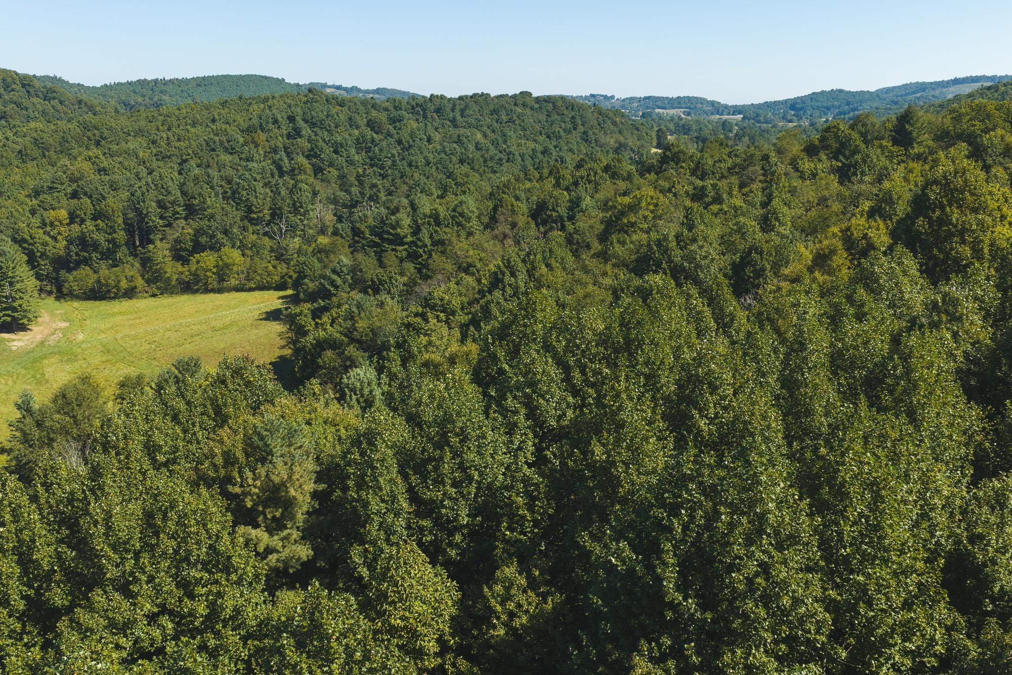 10568 Bottom Creek Road Bent Mountain VA 24059
