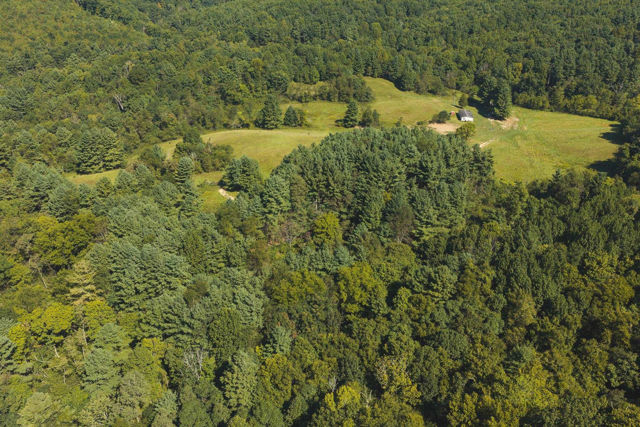 10568 Bottom Creek Road Bent Mountain VA 24059