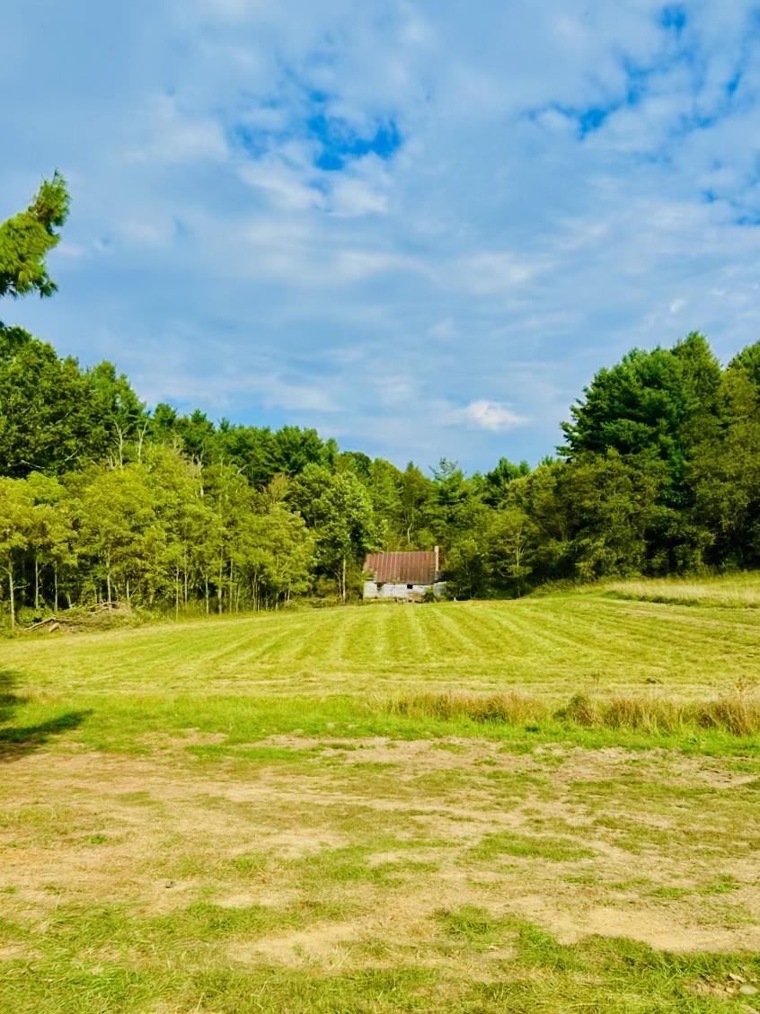10568 Bottom Creek Road Bent Mountain VA 24059