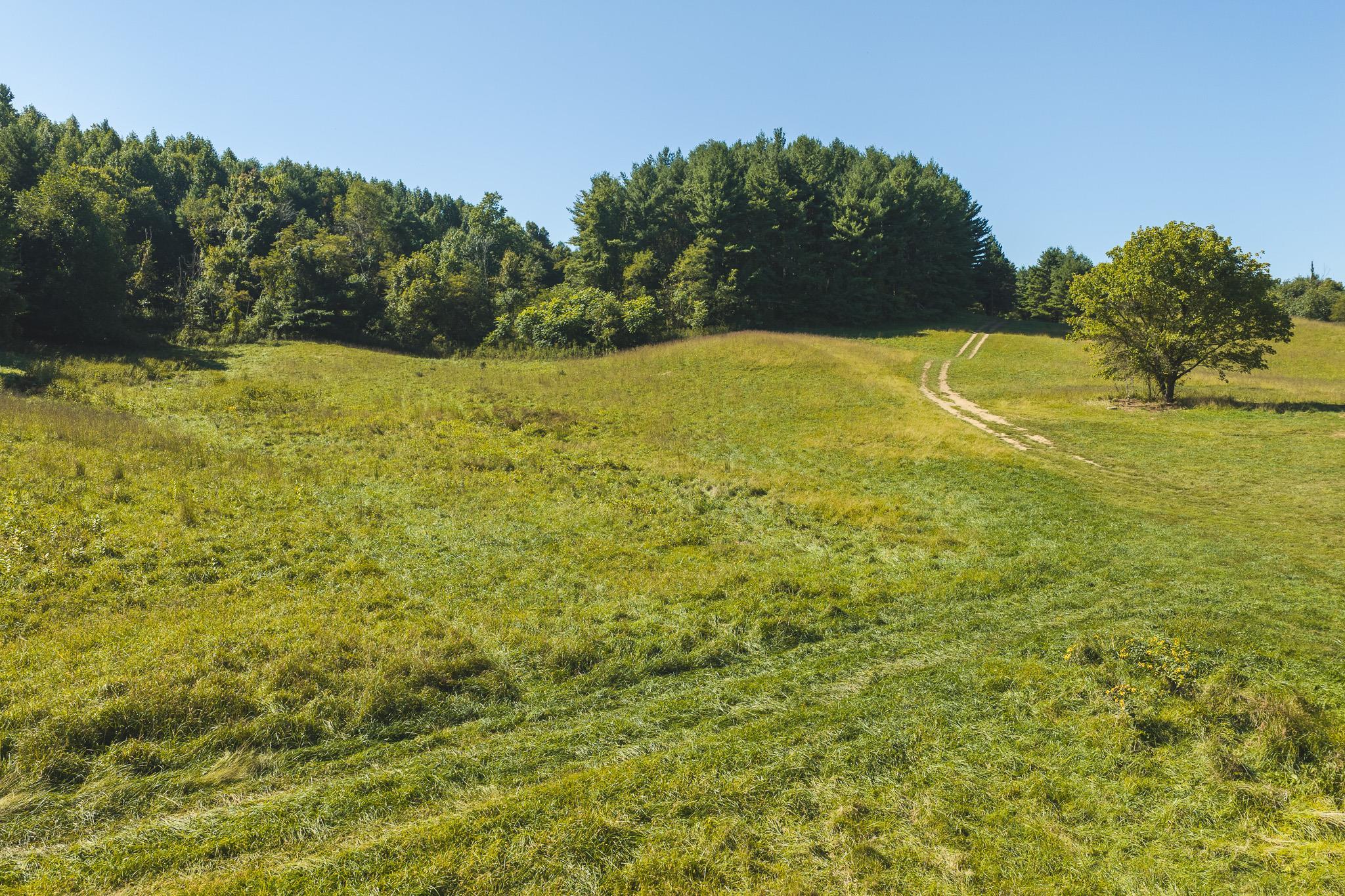 10568 Bottom Creek Road Bent Mountain VA 24059