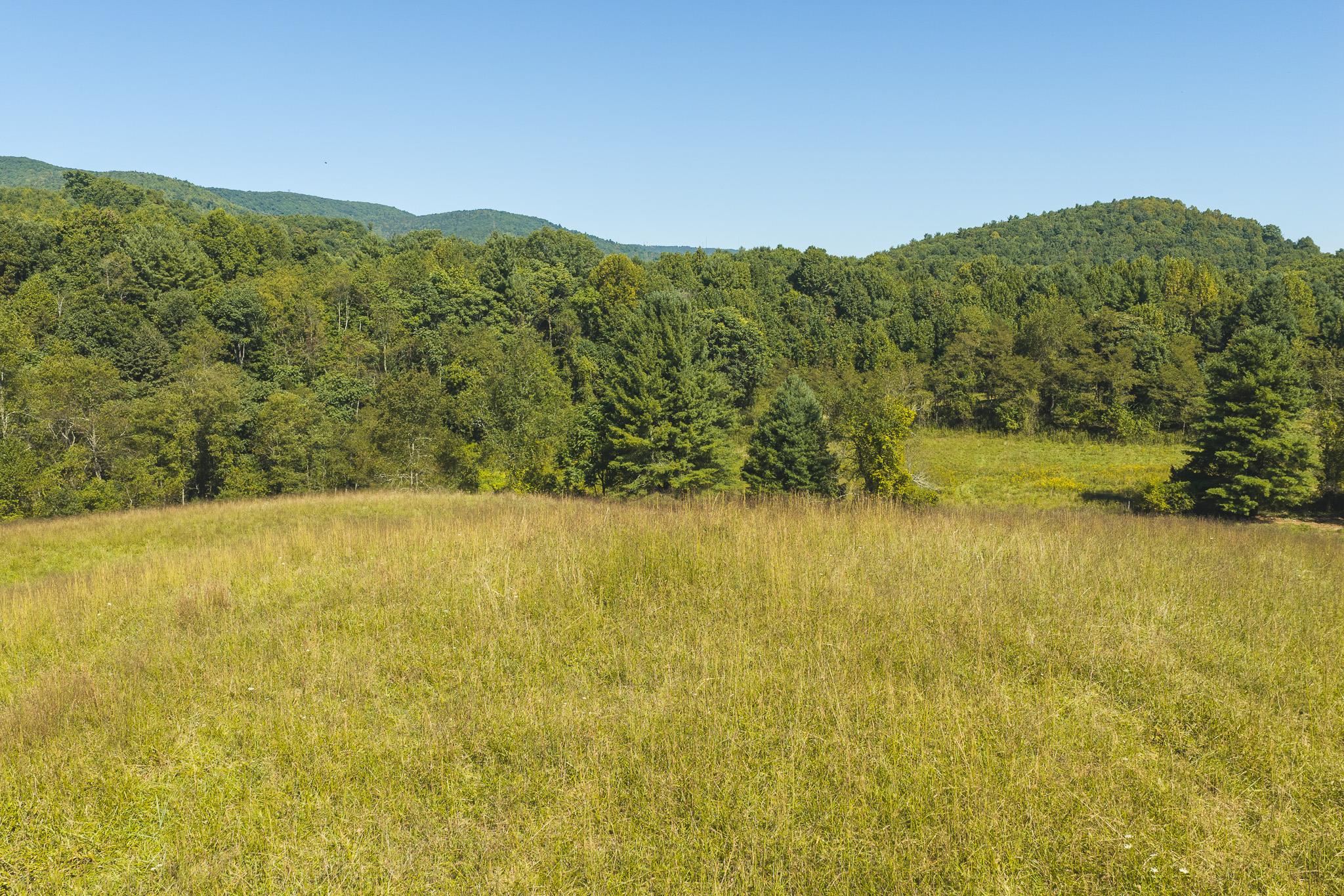 10568 Bottom Creek Road Bent Mountain VA 24059