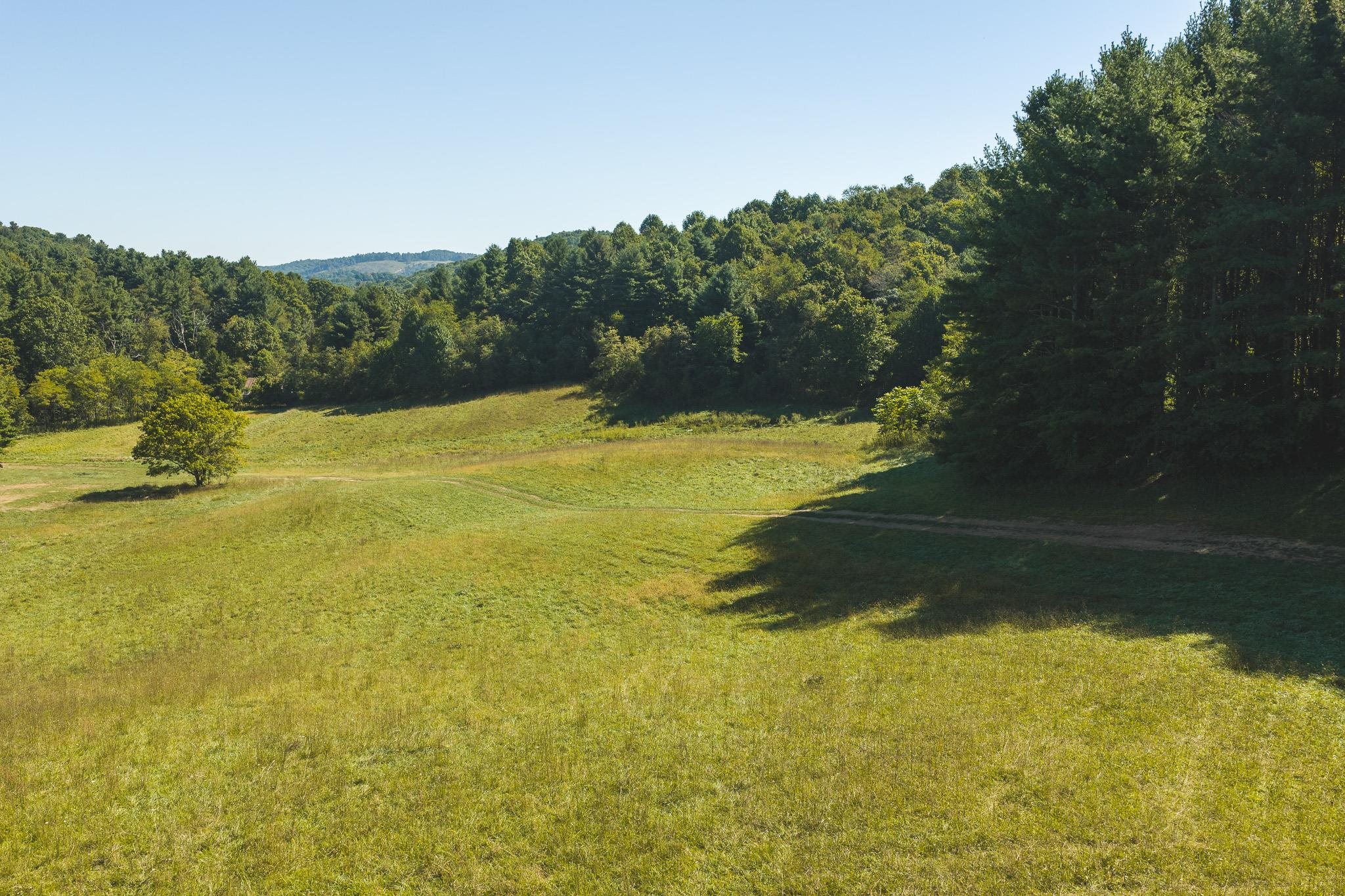 10568 Bottom Creek Road Bent Mountain VA 24059