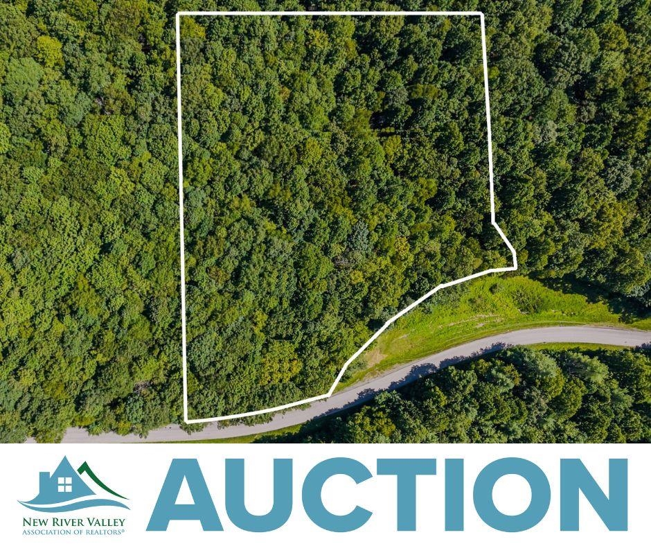 Lot 4 Phadettia Road Willis VA 24380