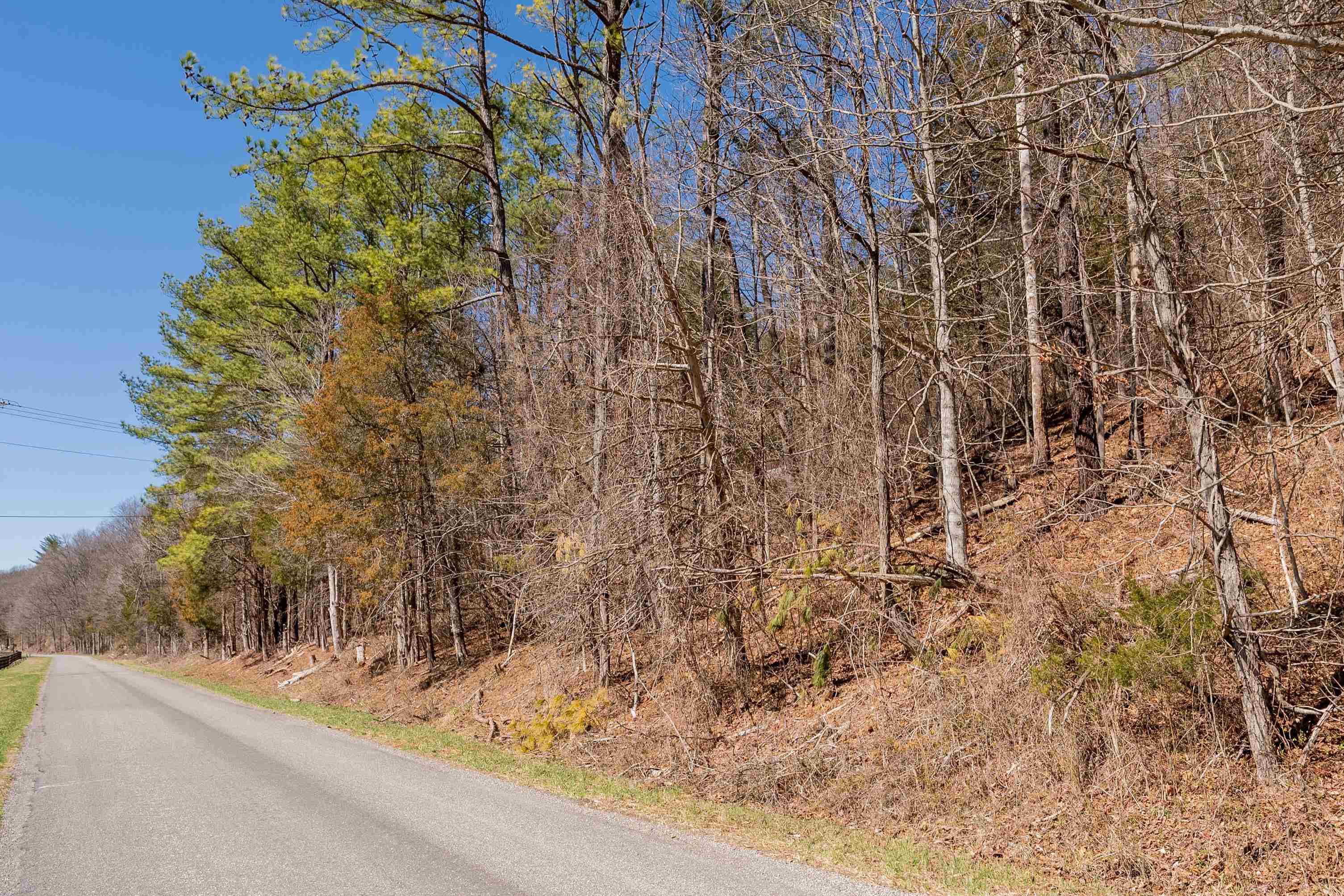 Tbd Indigo Road Christiansburg VA 24073