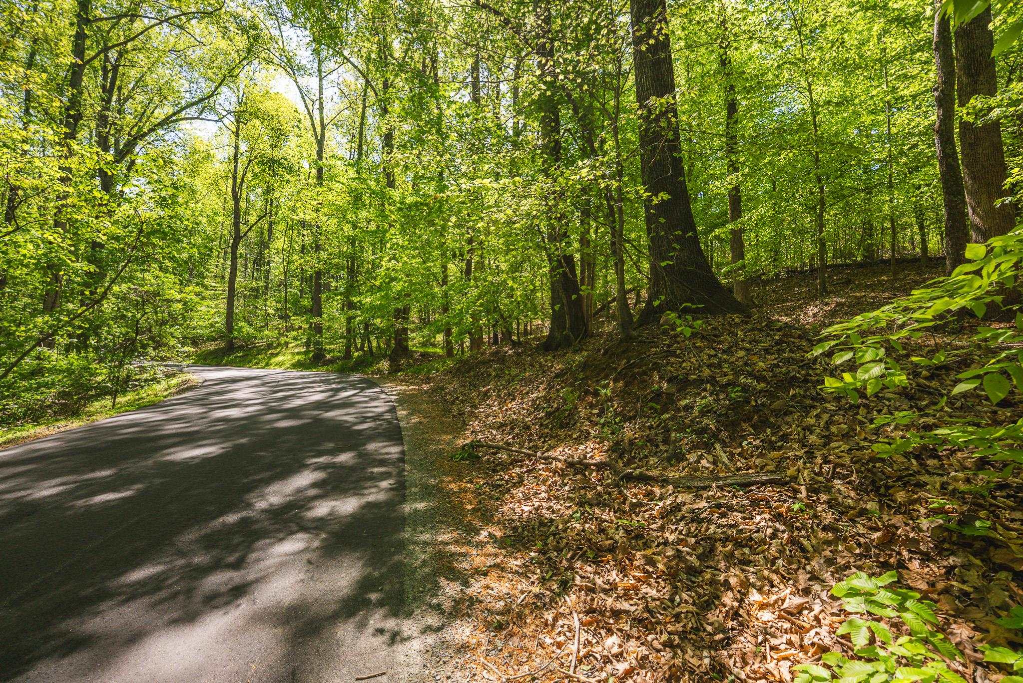 Tbd Booker T Washington Highway Moneta VA 24121
