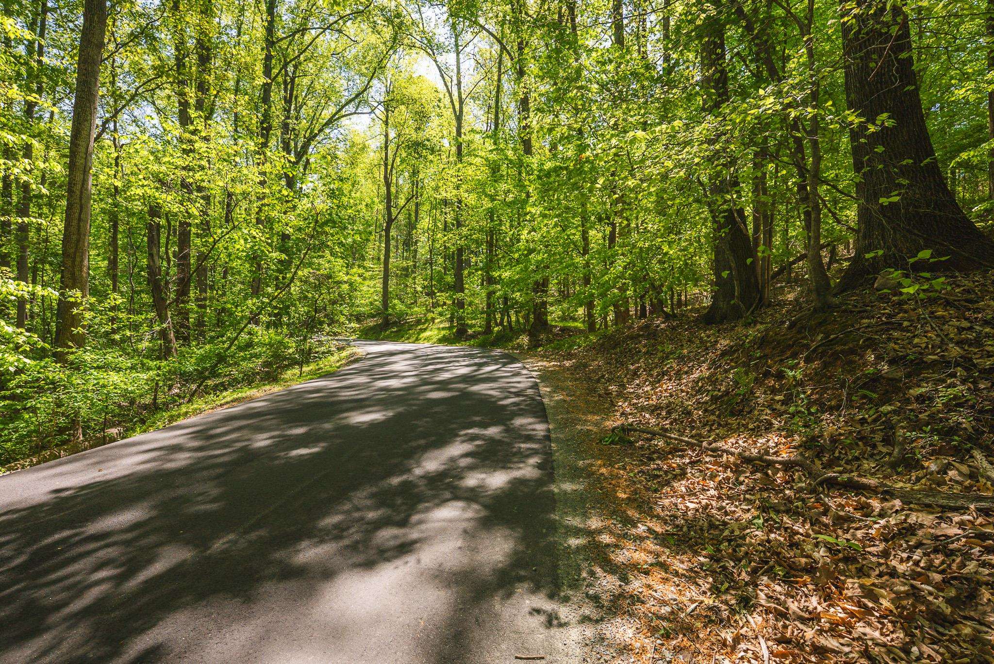 Tbd Booker T Washington Highway Moneta VA 24121
