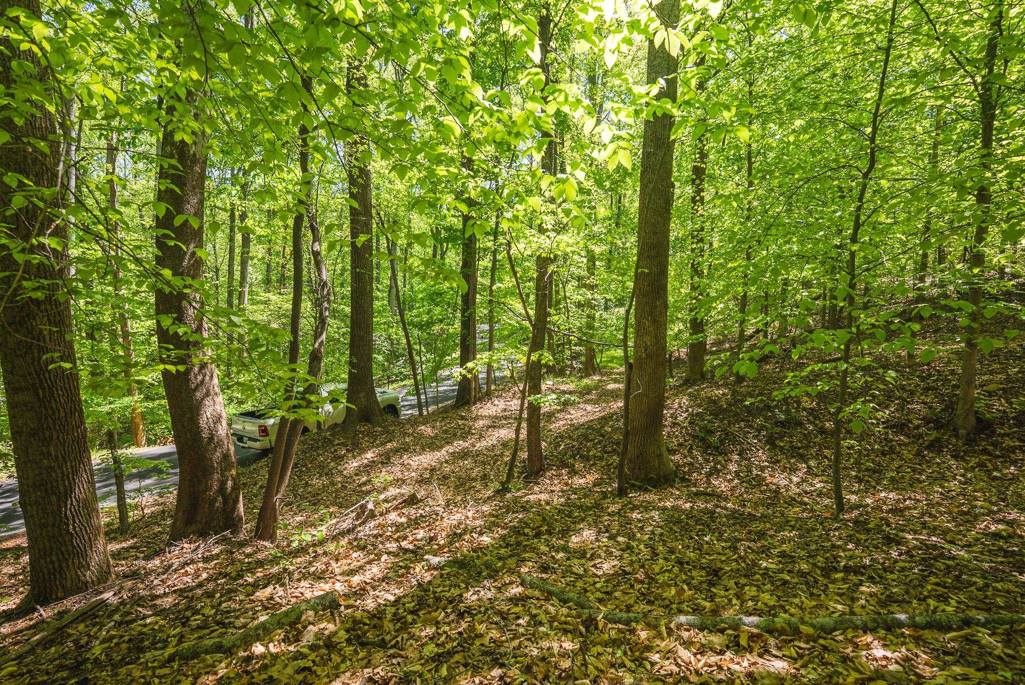 Tbd Booker T Washington Highway Moneta VA 24121