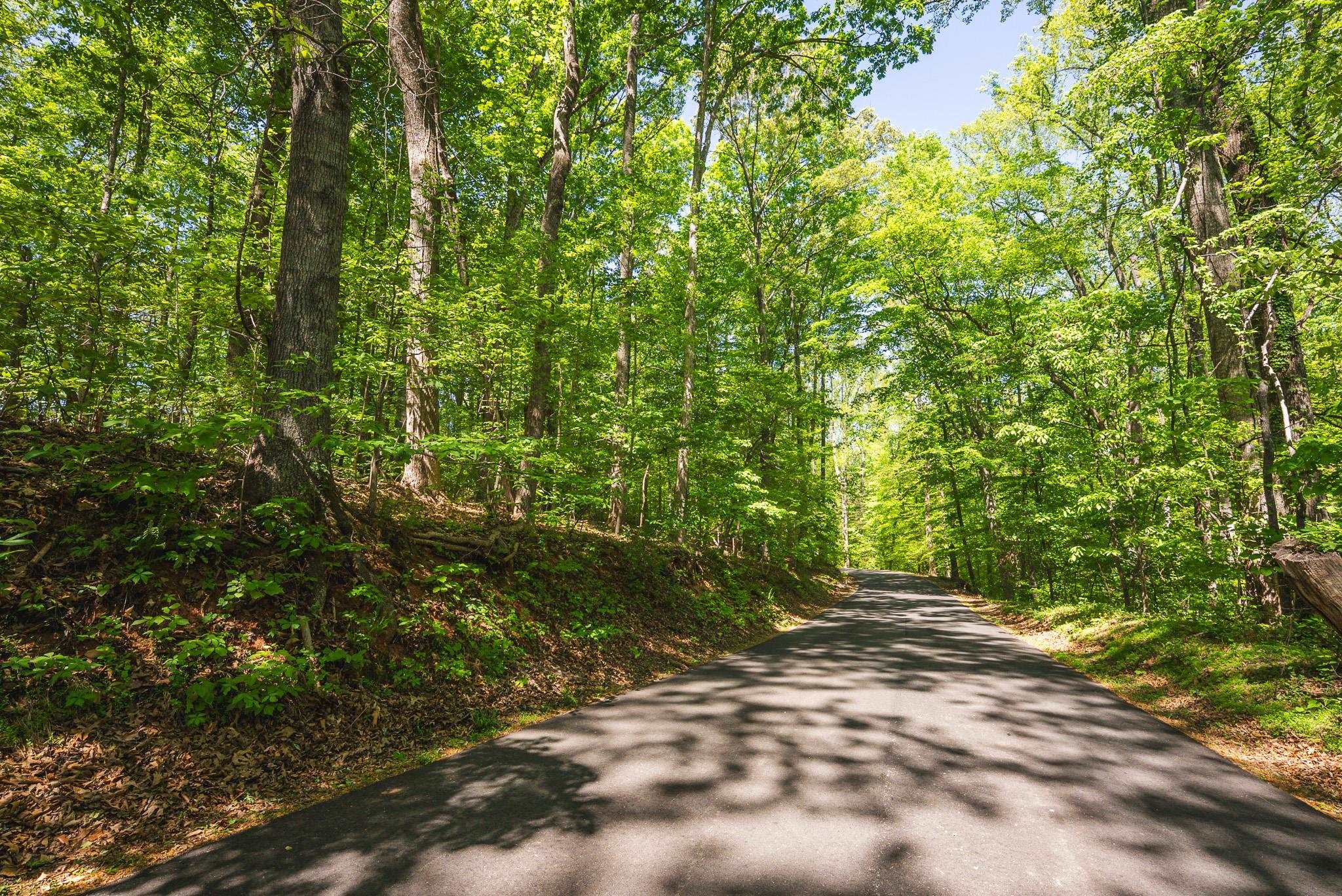 Tbd Booker T Washington Highway Moneta VA 24121