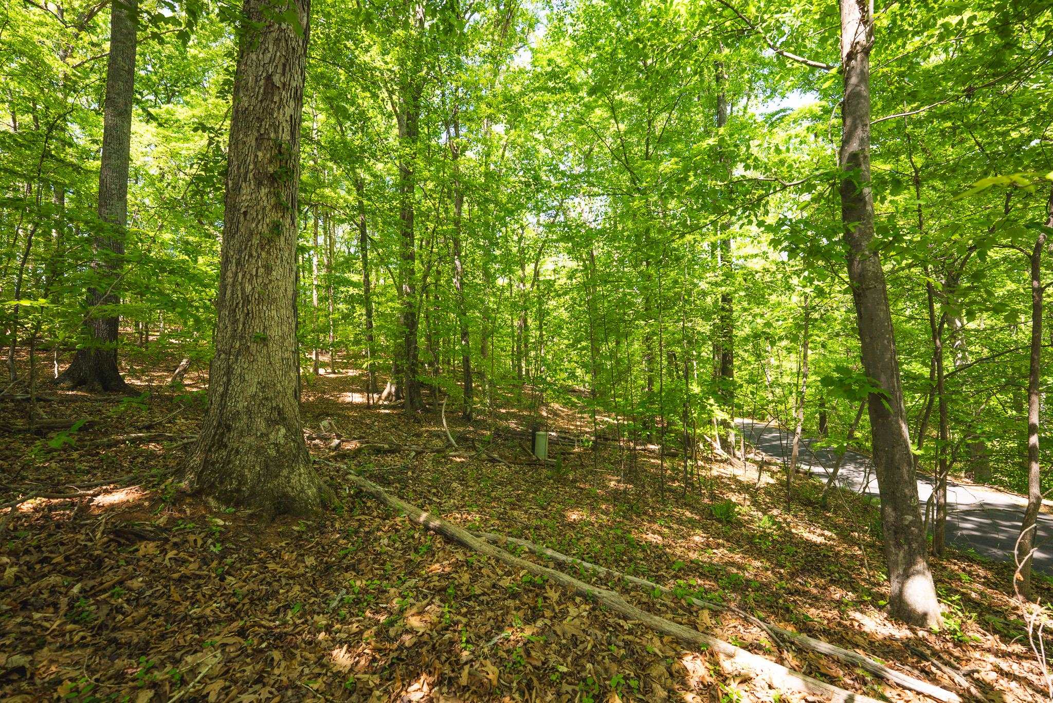 Tbd Booker T Washington Highway Moneta VA 24121