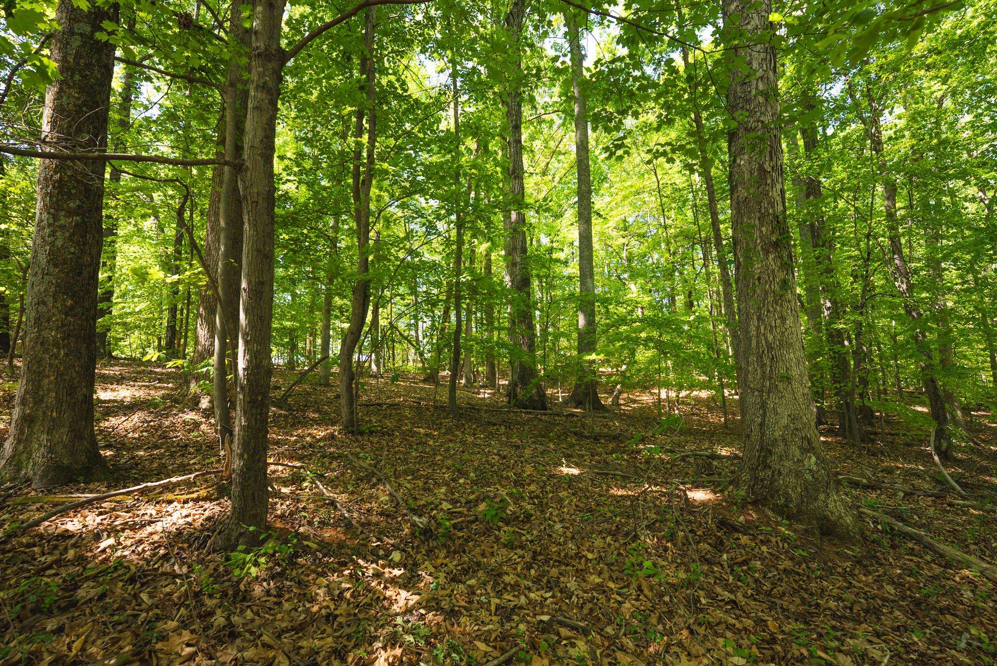 Tbd Booker T Washington Highway Moneta VA 24121