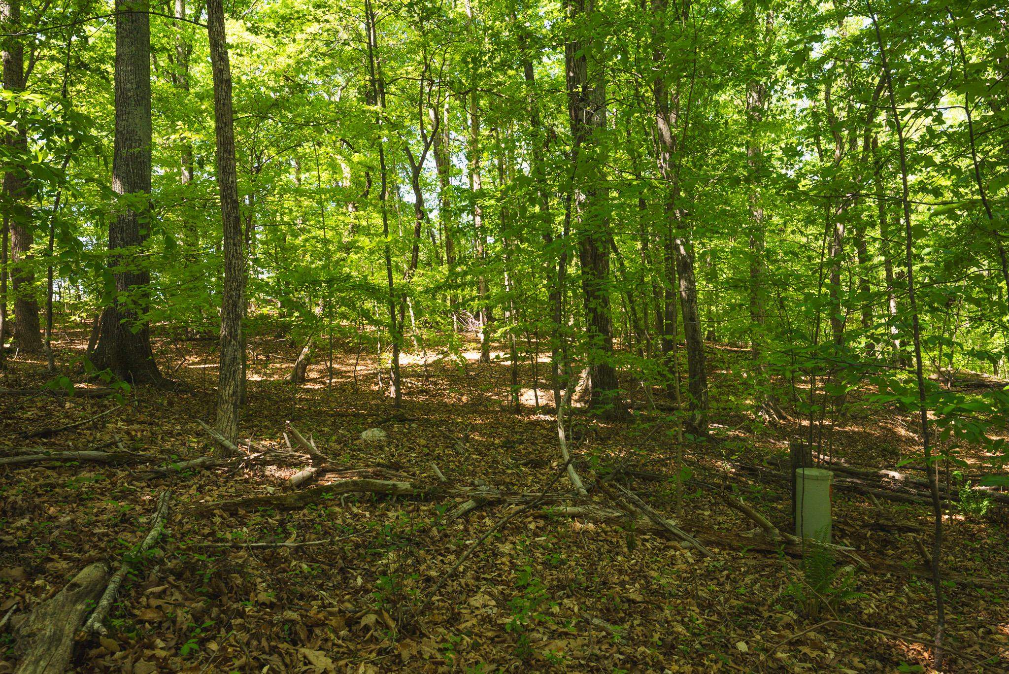 Tbd Booker T Washington Highway Moneta VA 24121