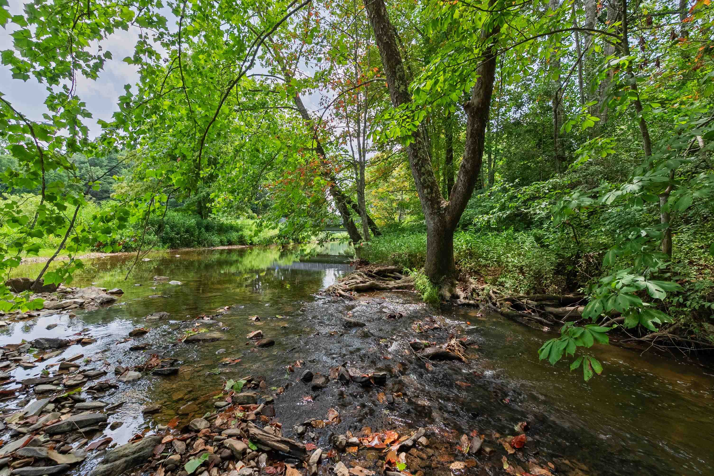 5690 And 5685 Robinson Tract Road Dublin VA 24084