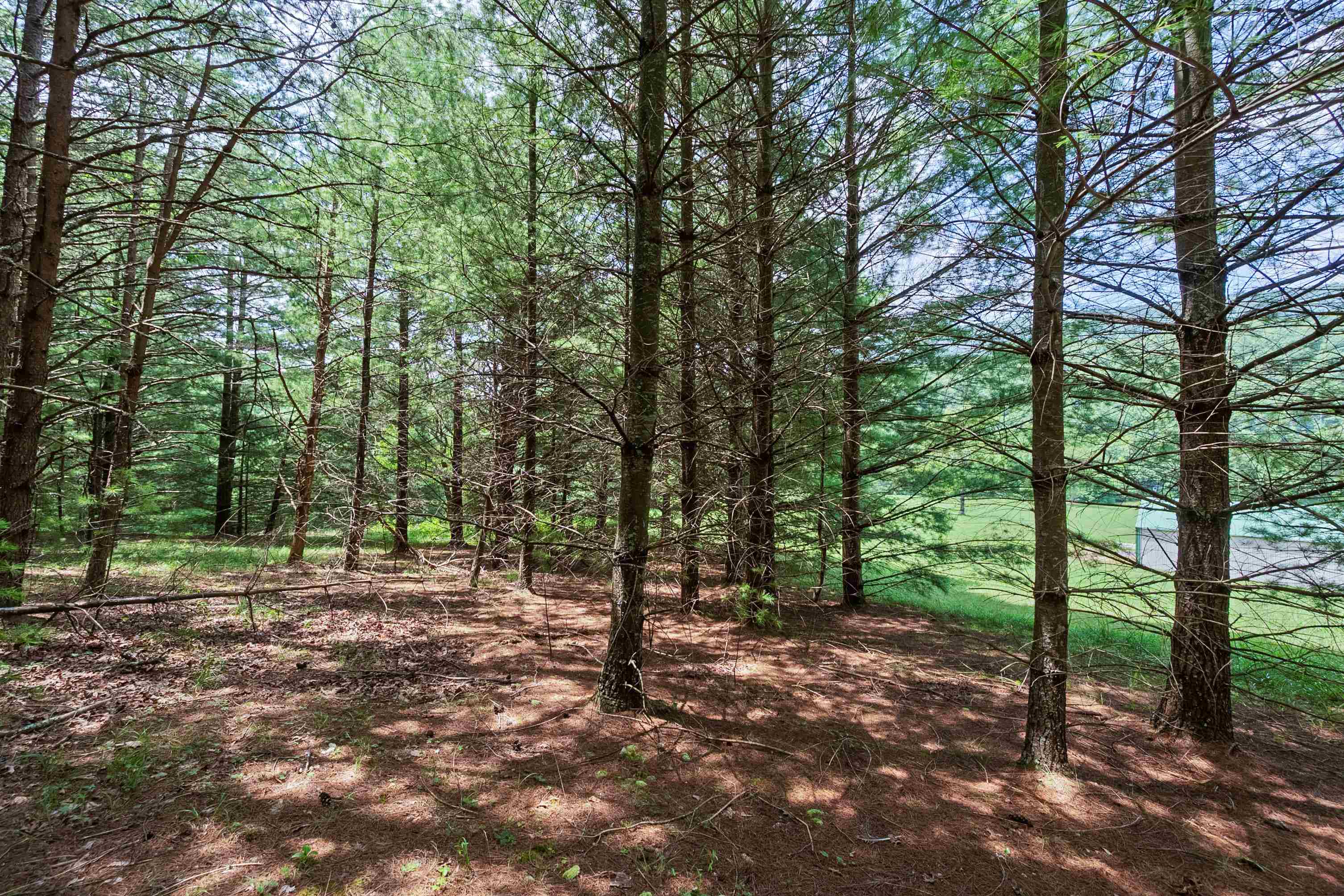 5690 And 5685 Robinson Tract Road Dublin VA 24084