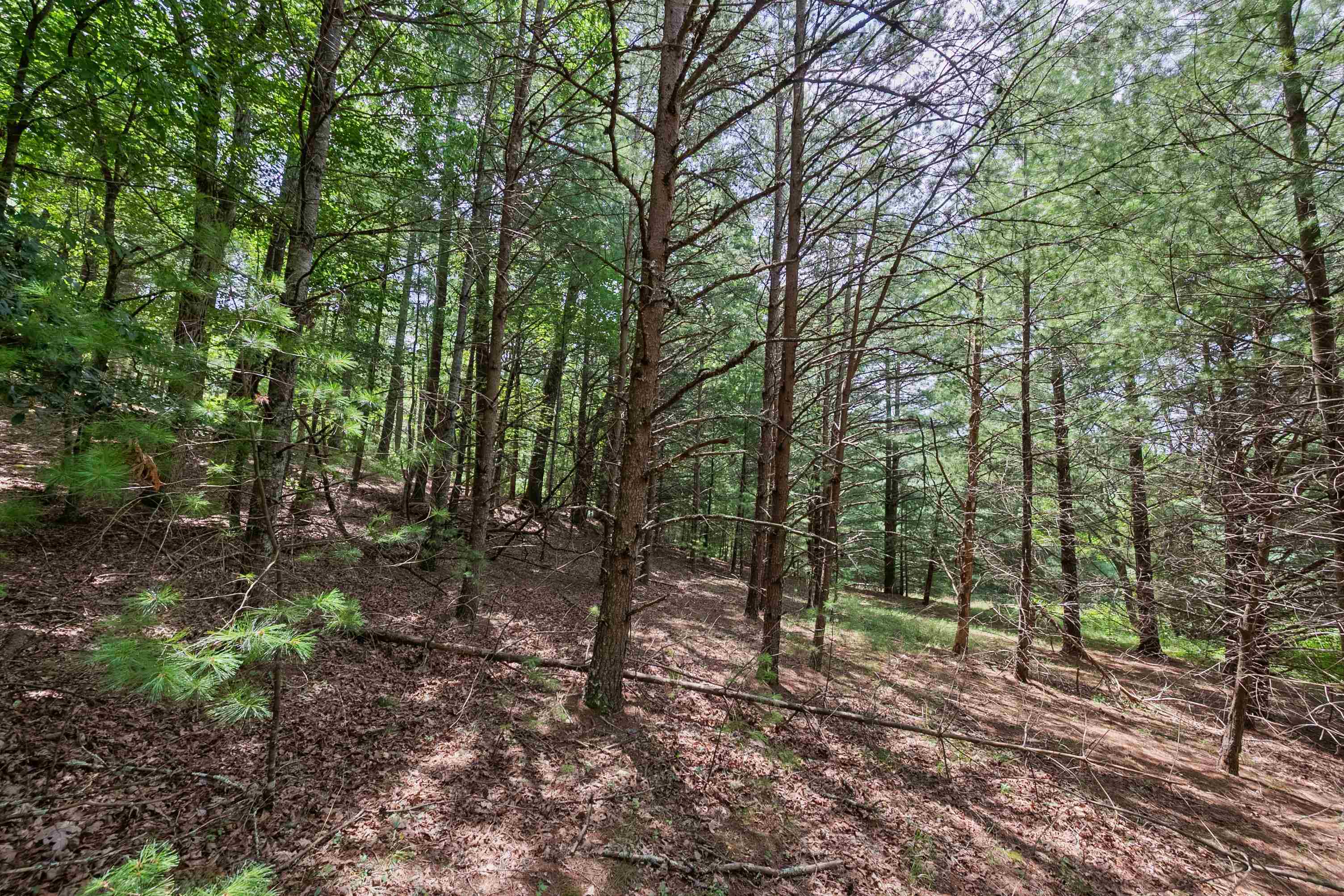 5690 And 5685 Robinson Tract Road Dublin VA 24084