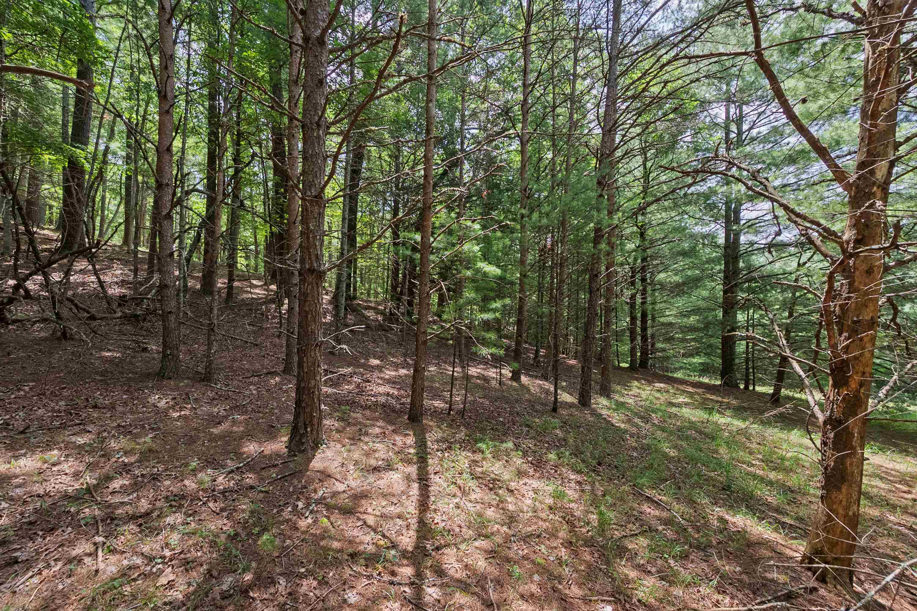 5690 And 5685 Robinson Tract Road Dublin VA 24084