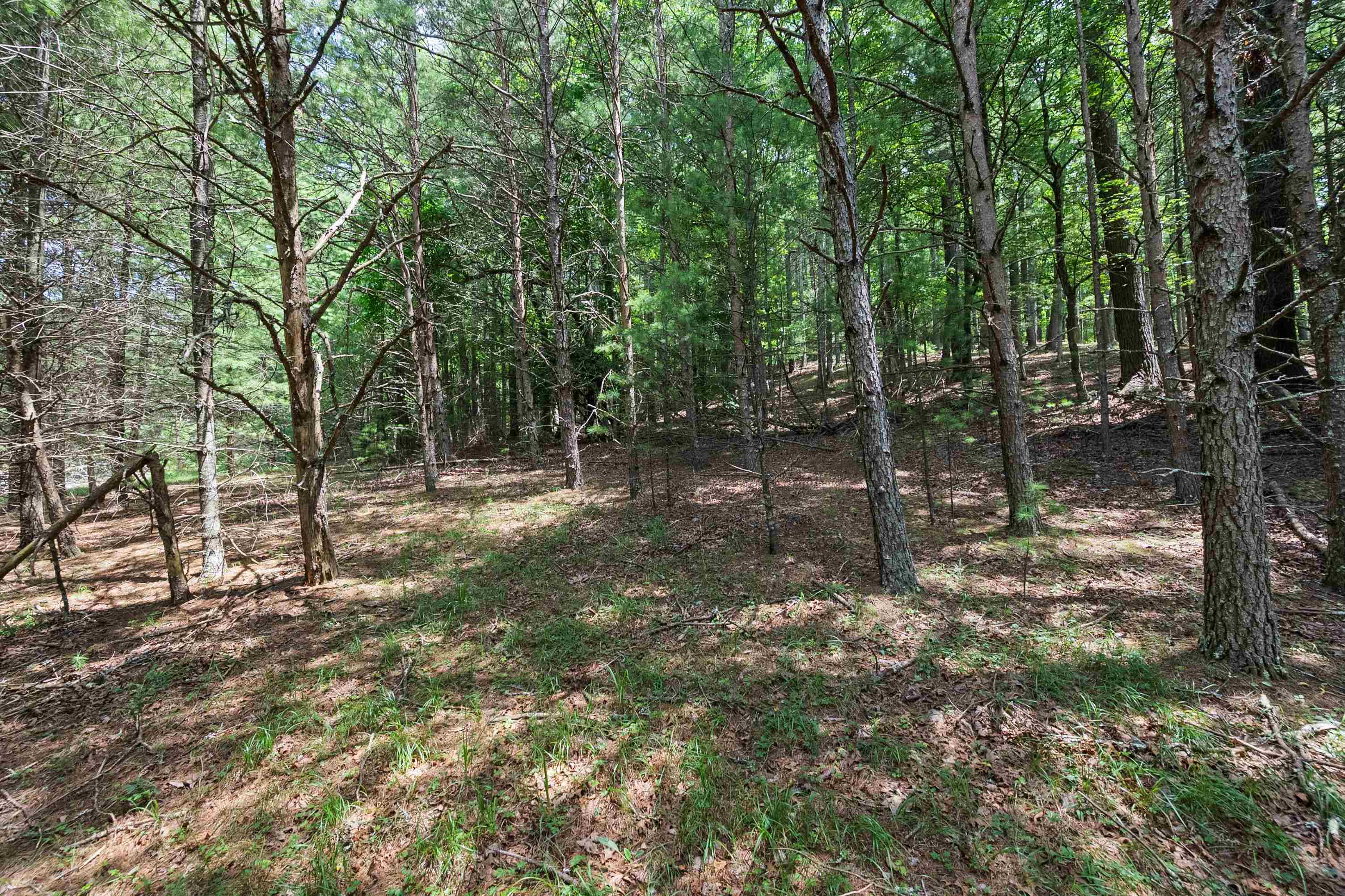 5690 And 5685 Robinson Tract Road Dublin VA 24084