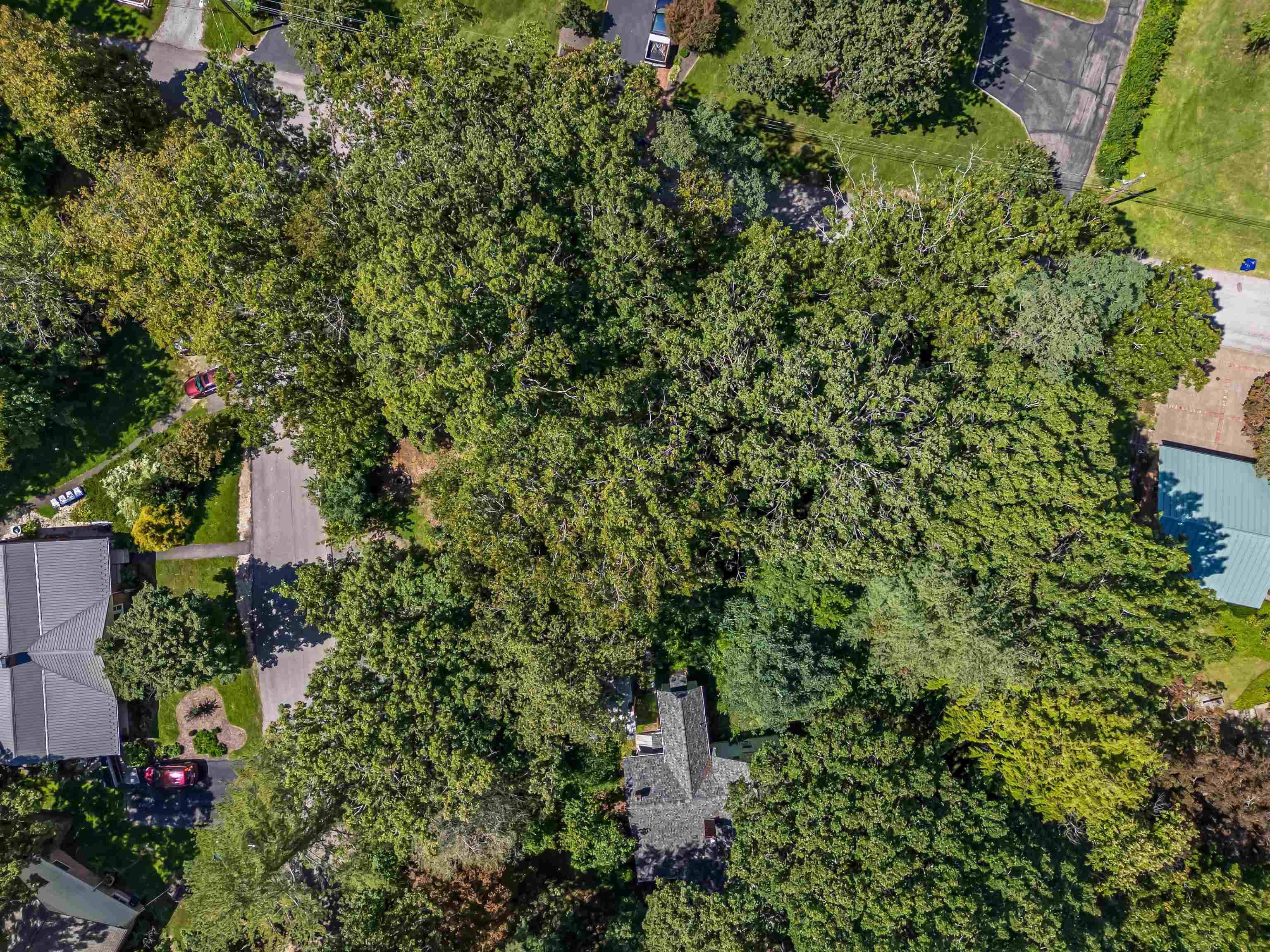 Tbd Milhurst Street Blacksburg VA 24060