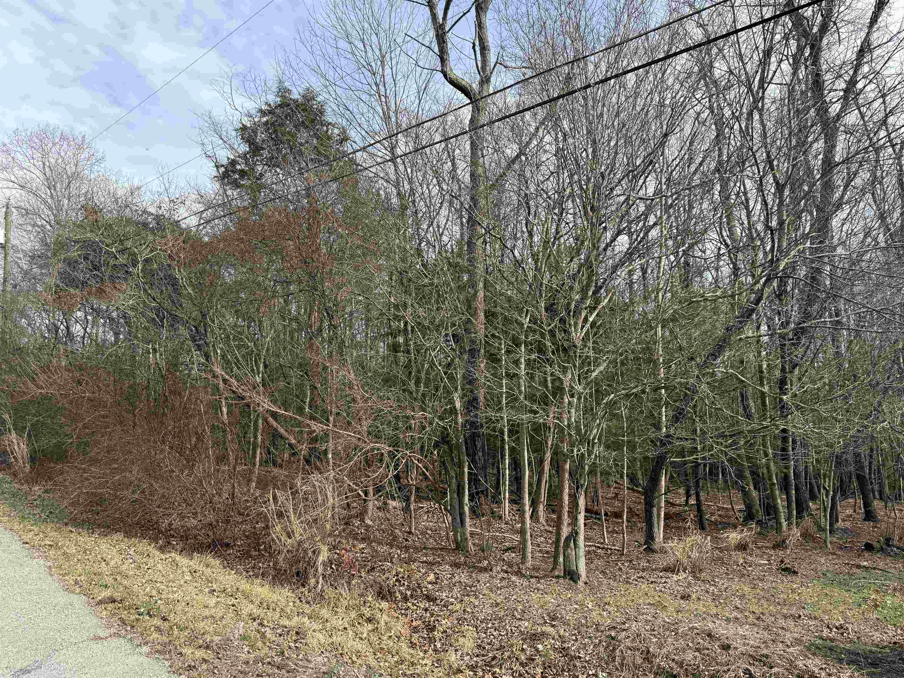 Tbd Country Acres Drive Blacksburg VA 24060