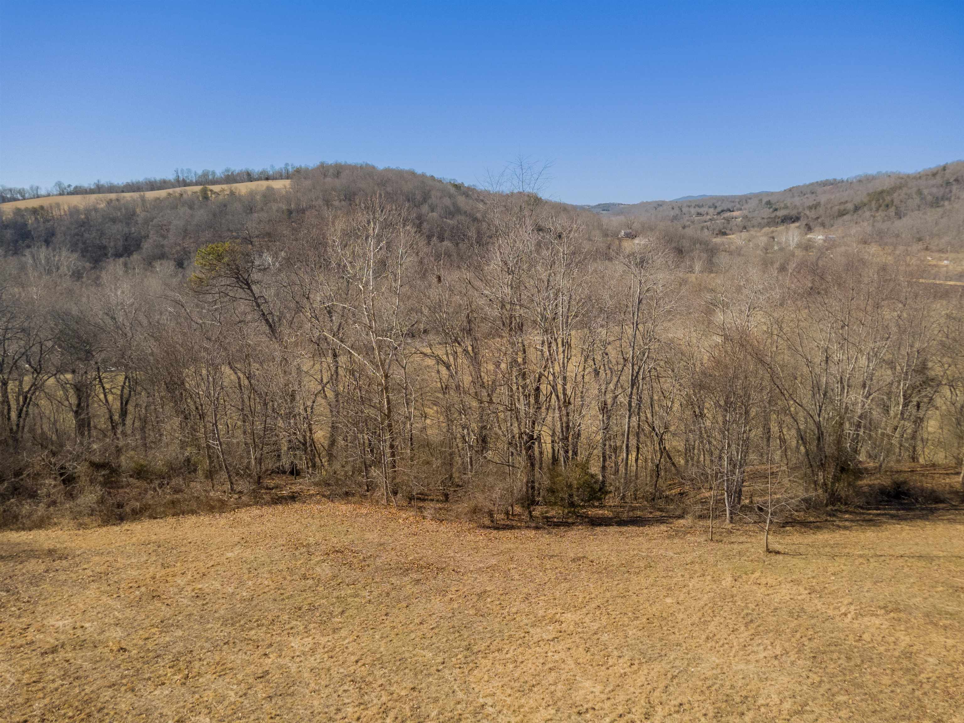 4272 Pleasure View Drive Hiwassee VA 24347