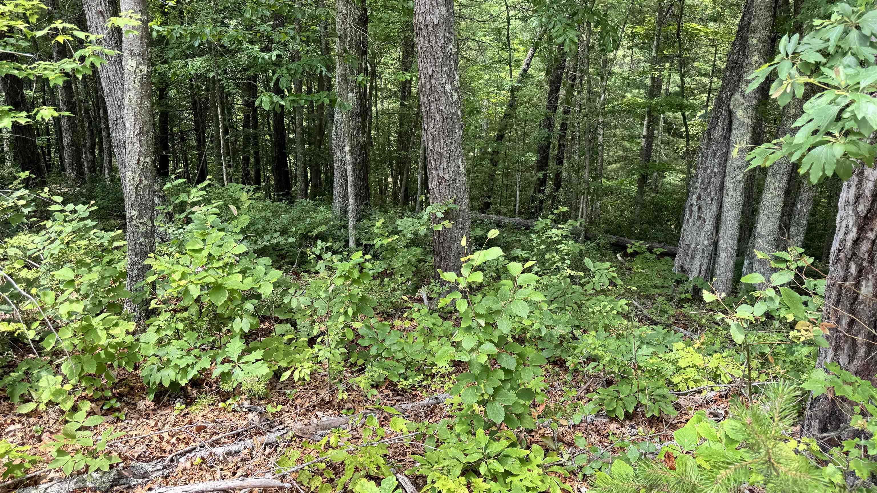 Lot 48 River Oaks Drive Austinville VA 24312