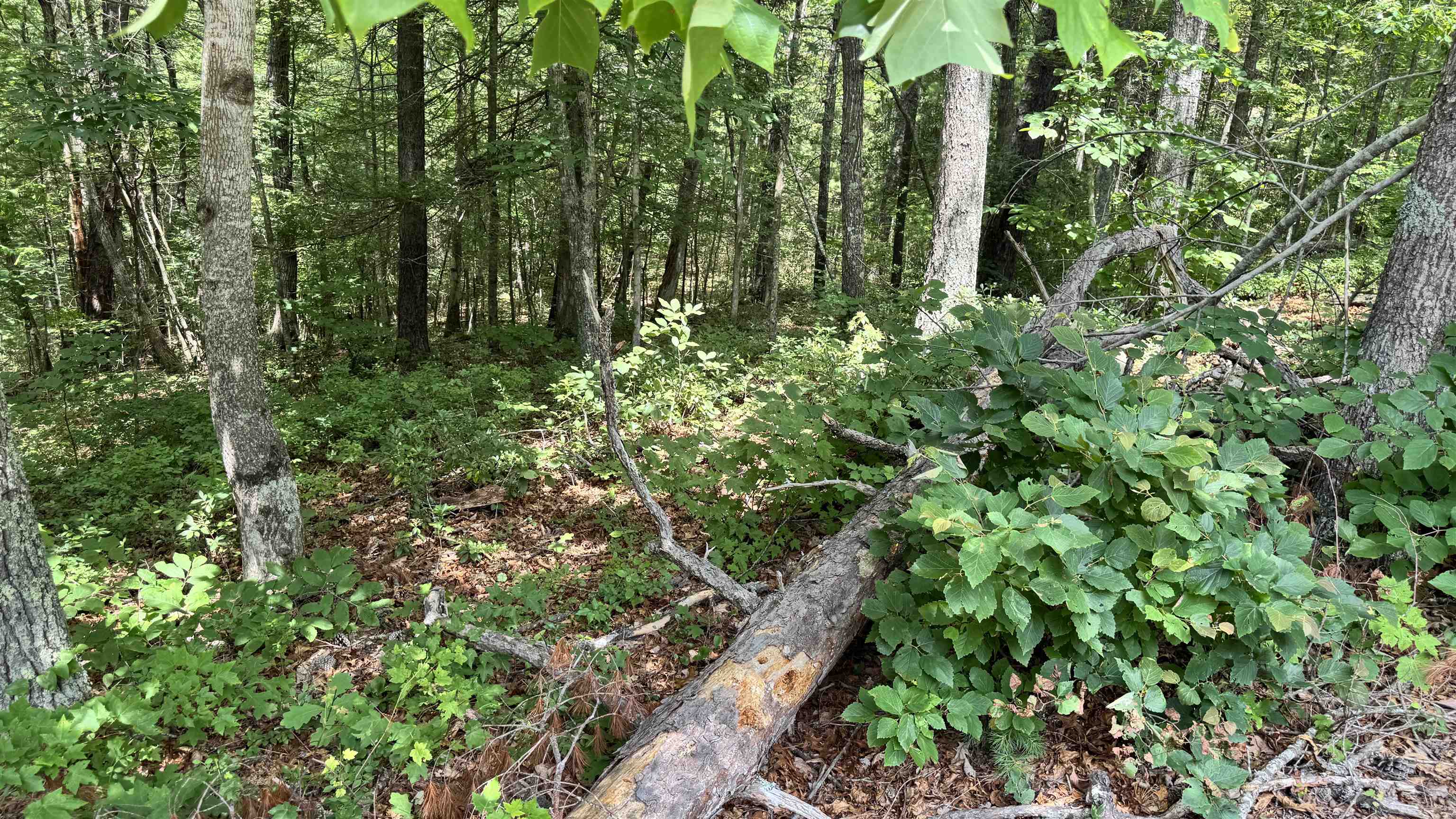 Lot 48 River Oaks Drive Austinville VA 24312