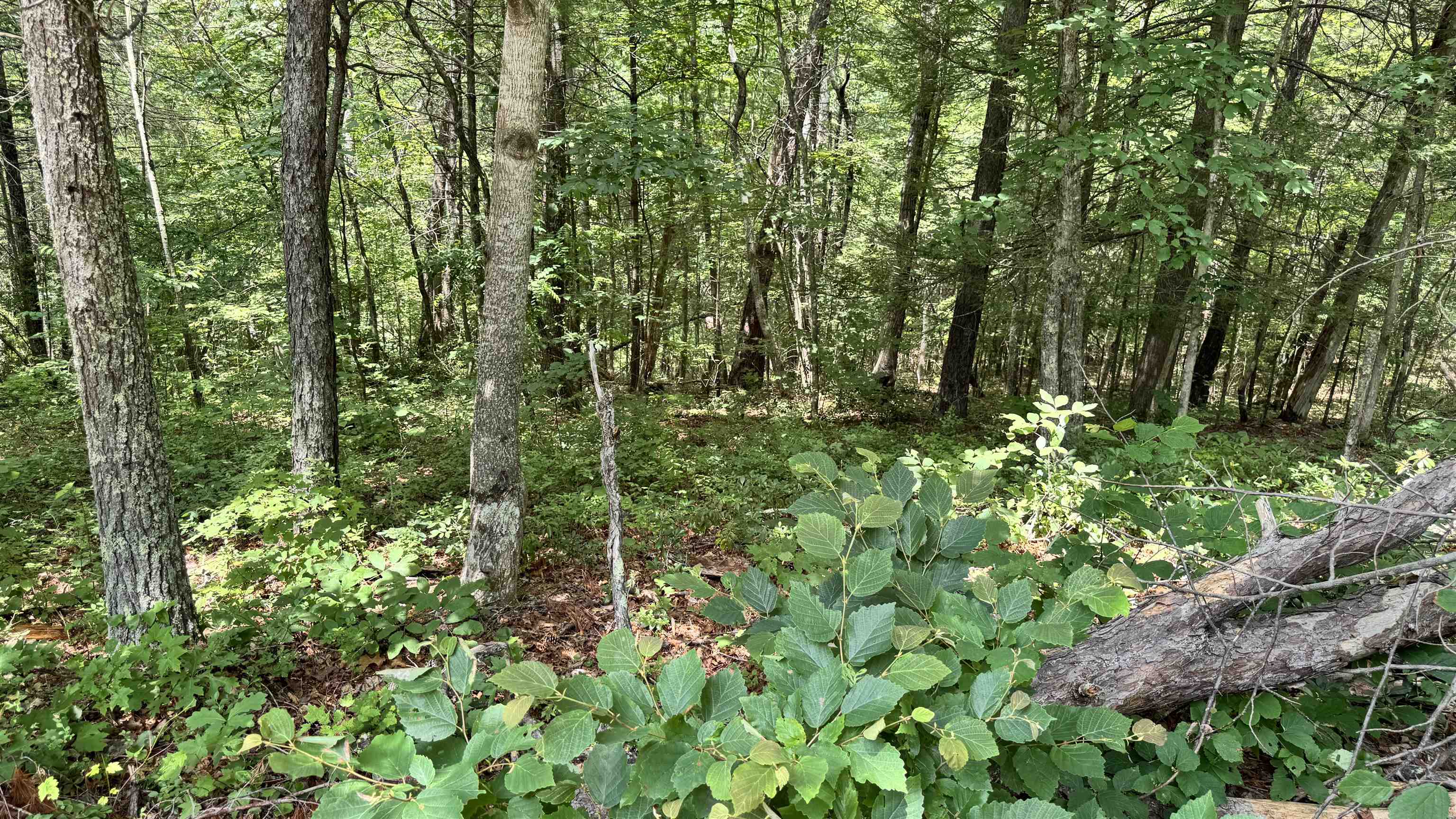 Lot 48 River Oaks Drive Austinville VA 24312