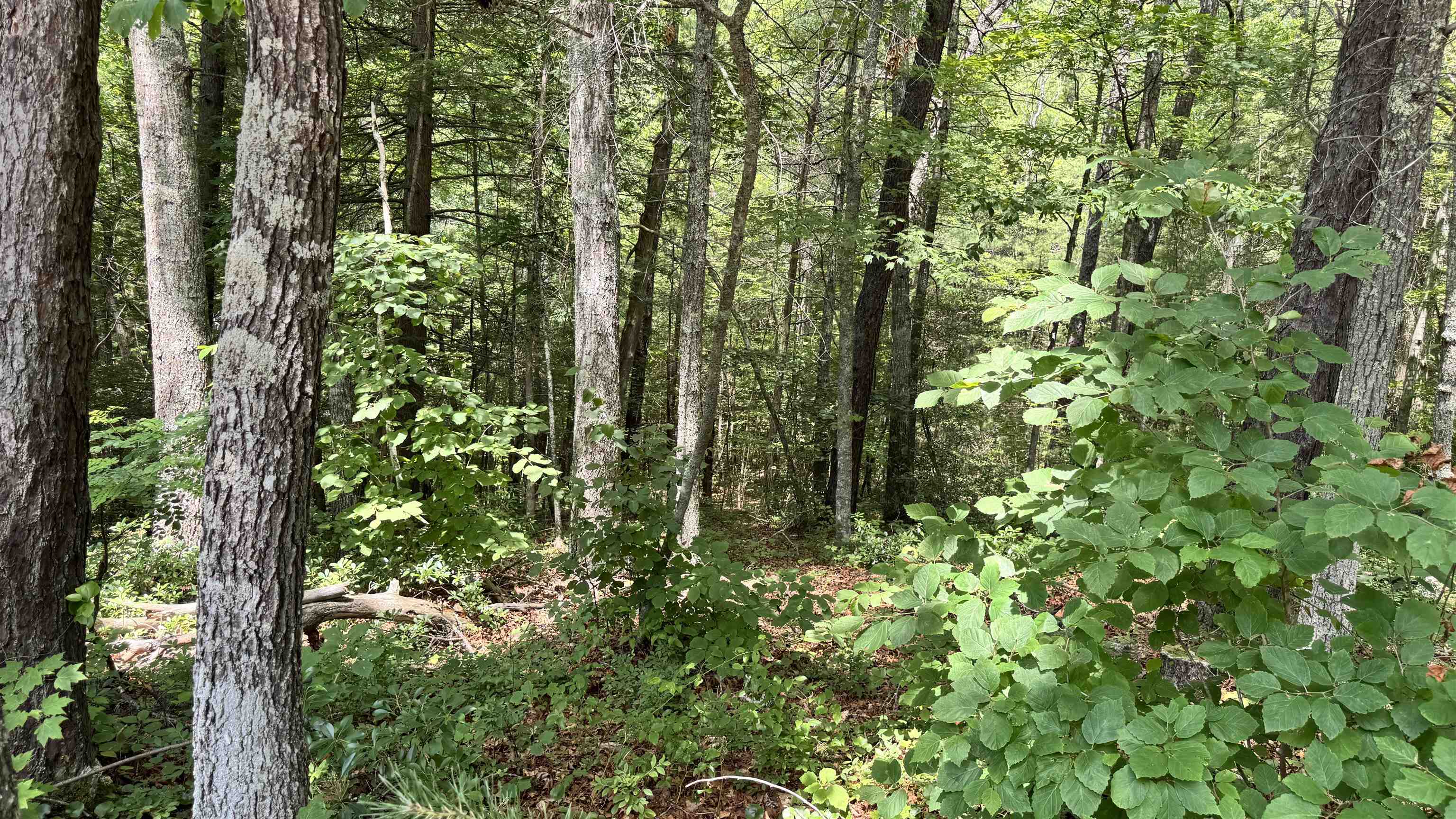 Lot 48 River Oaks Drive Austinville VA 24312