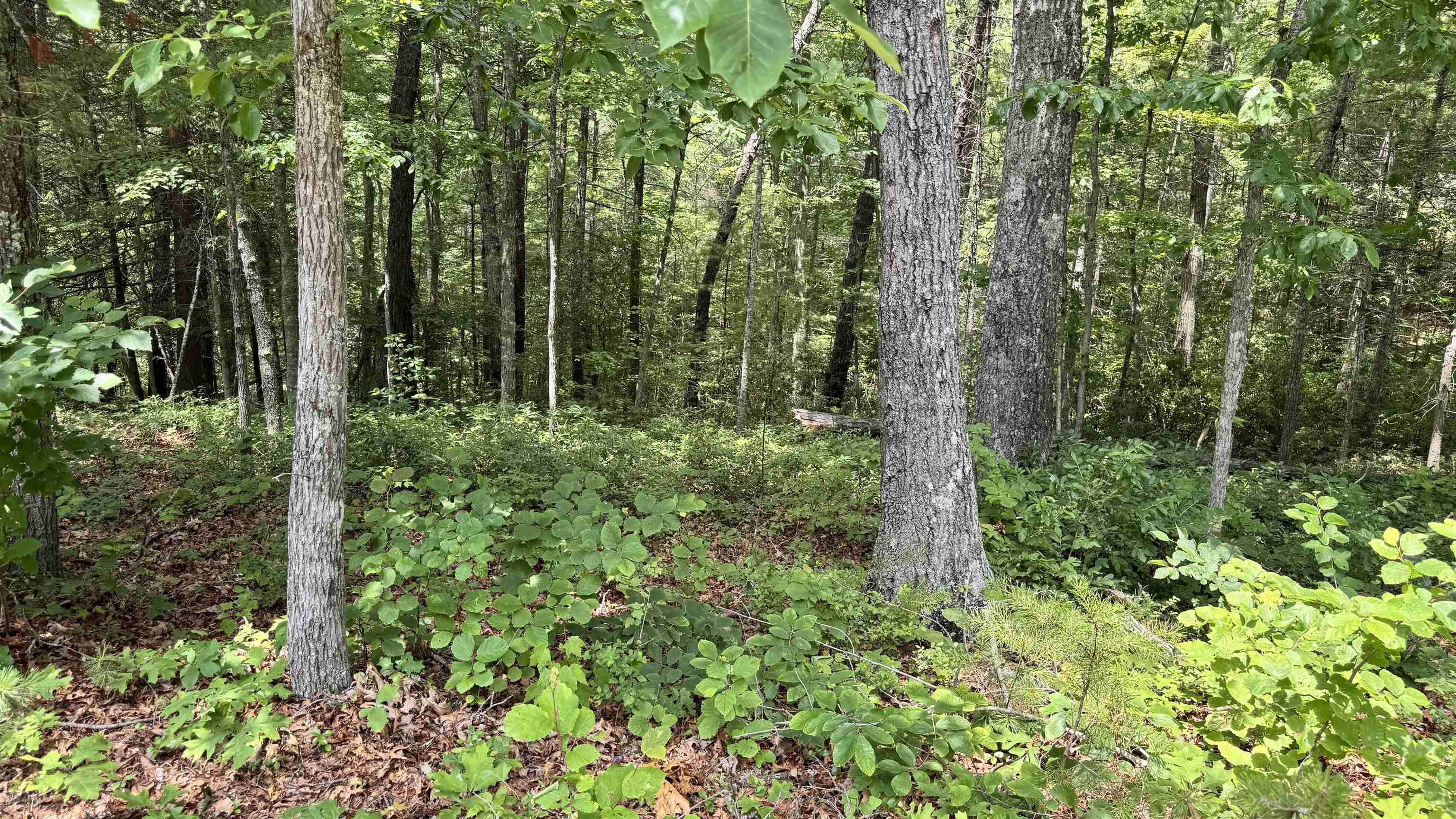 Lot 48 River Oaks Drive Austinville VA 24312