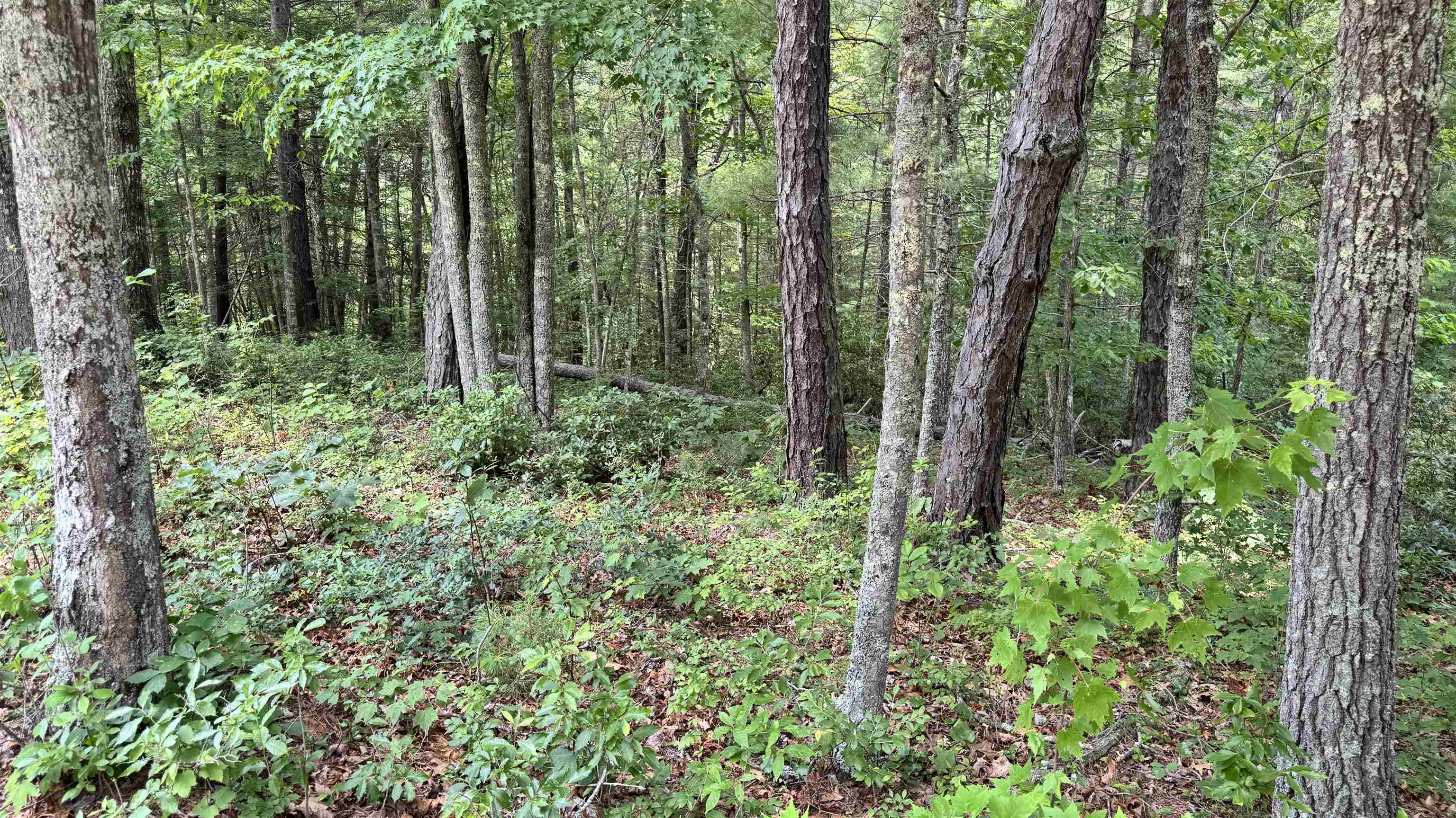 Lot 48 River Oaks Drive Austinville VA 24312