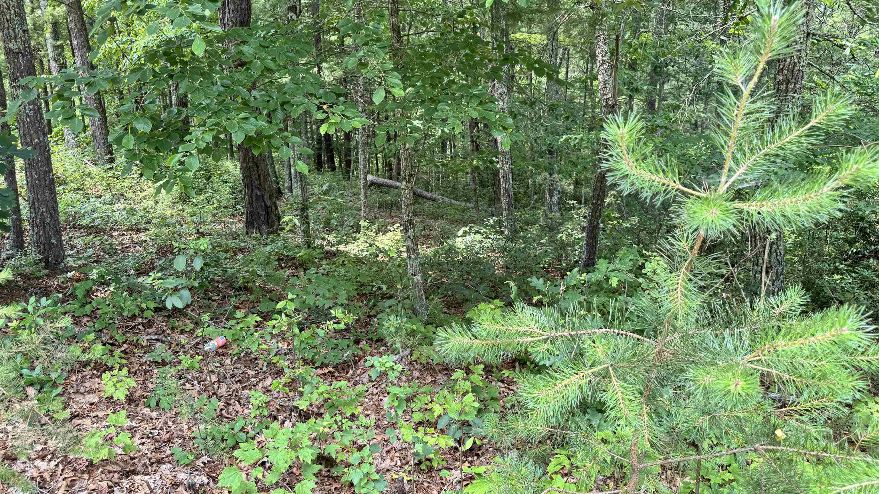 Lot 48 River Oaks Drive Austinville VA 24312