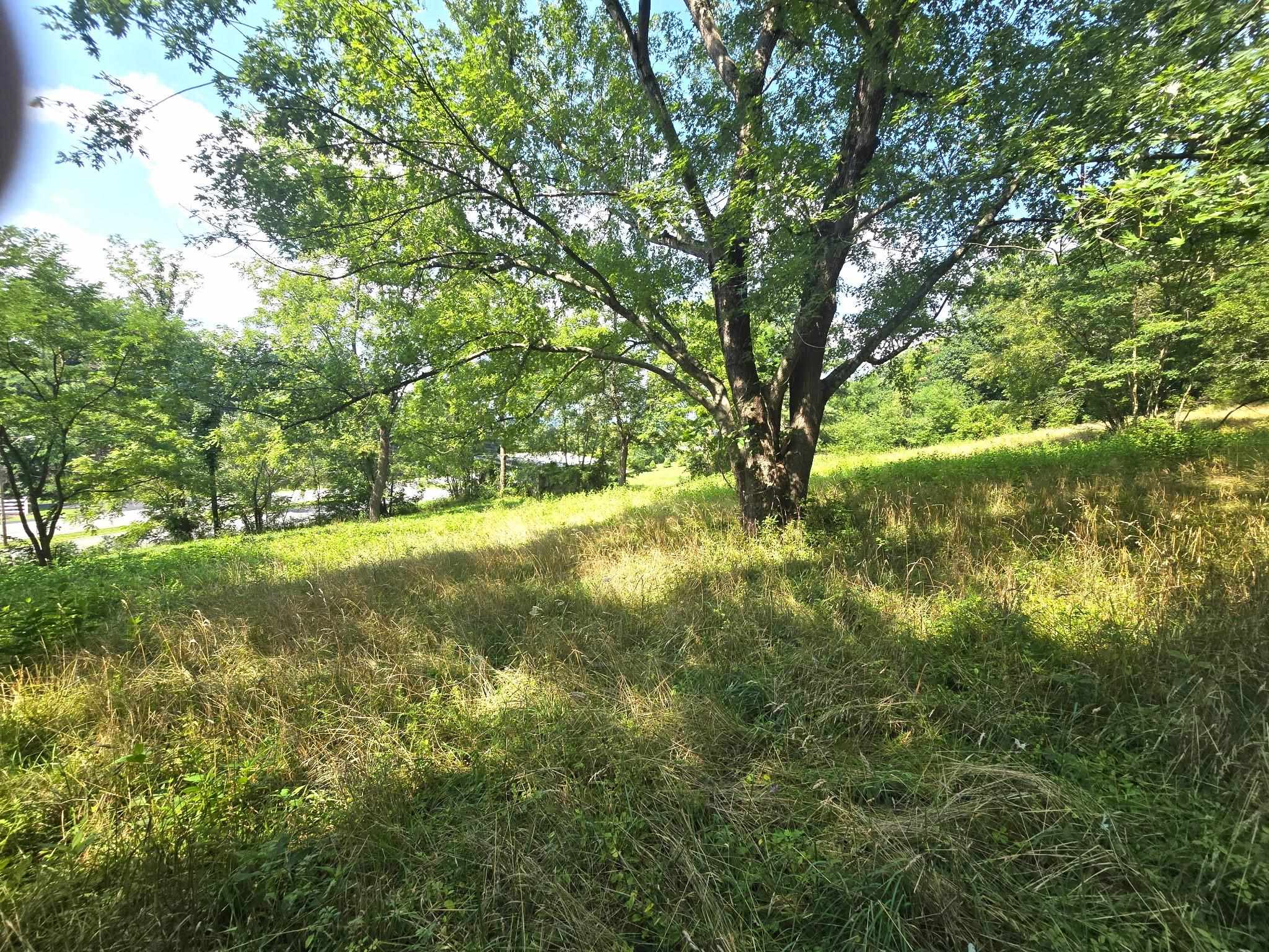 1160 W Lee Highway Wytheville VA 24382