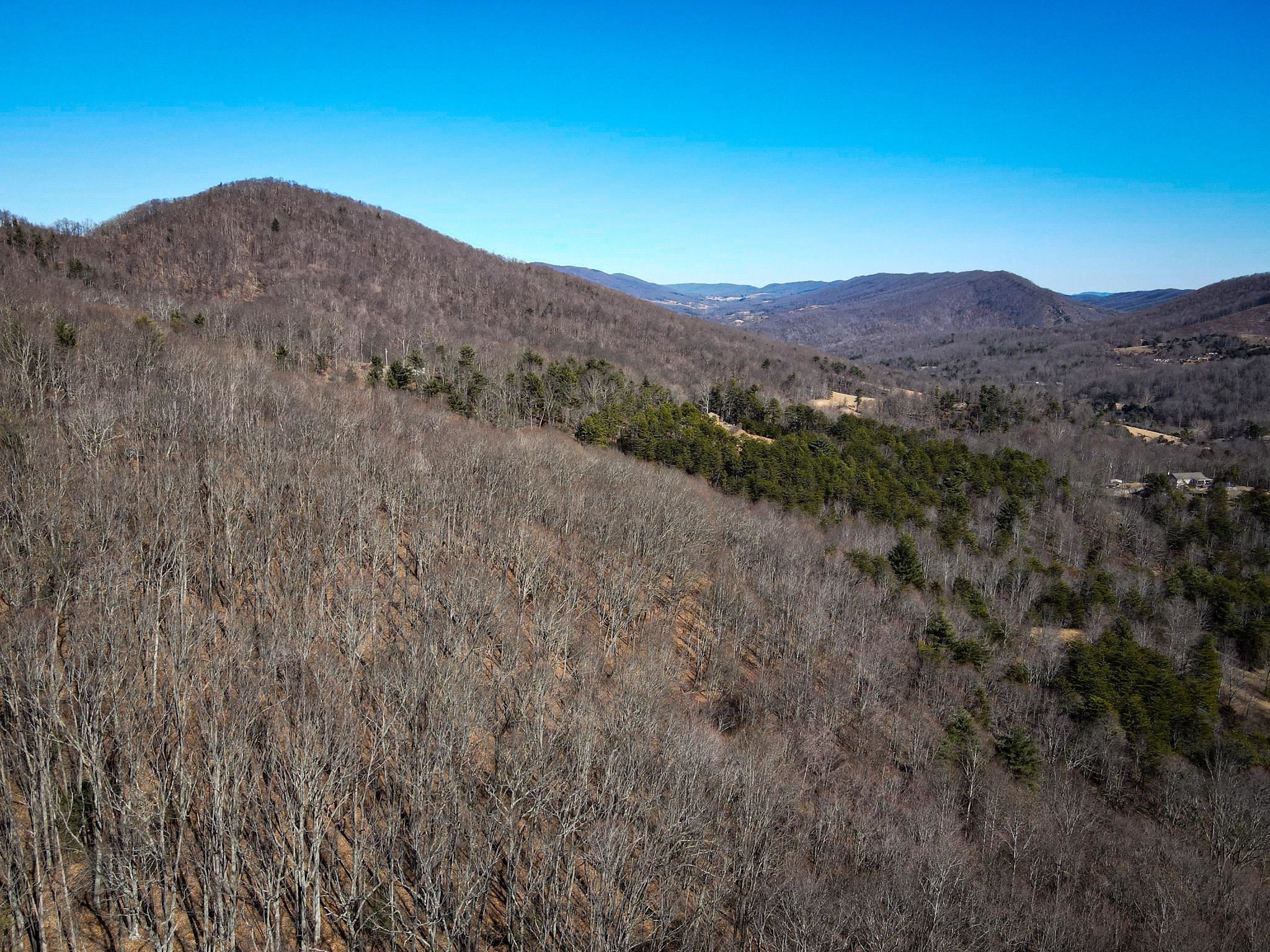 Tbd Mountain Field Road Pearisburg VA 24134