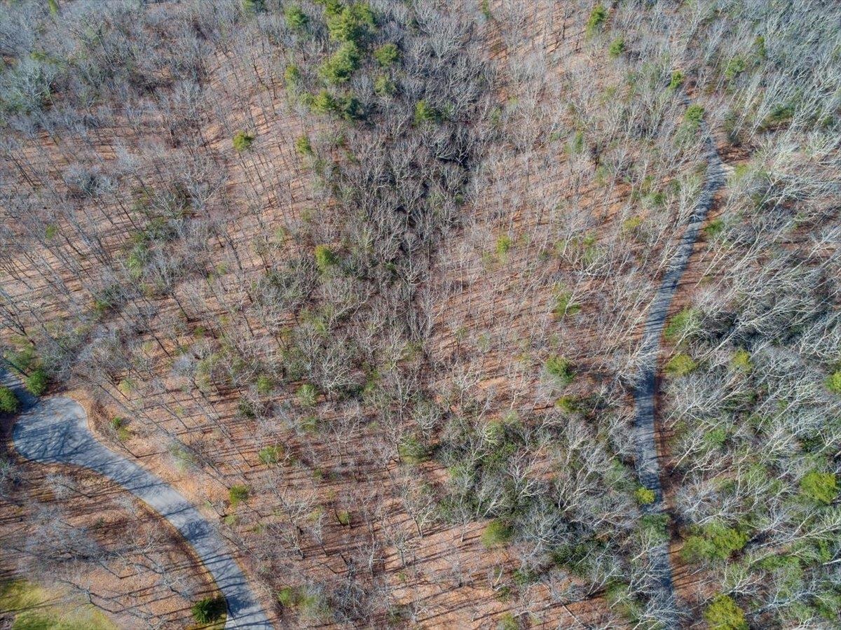 1258 Treetop Ridge Road Blacksburg VA 24060