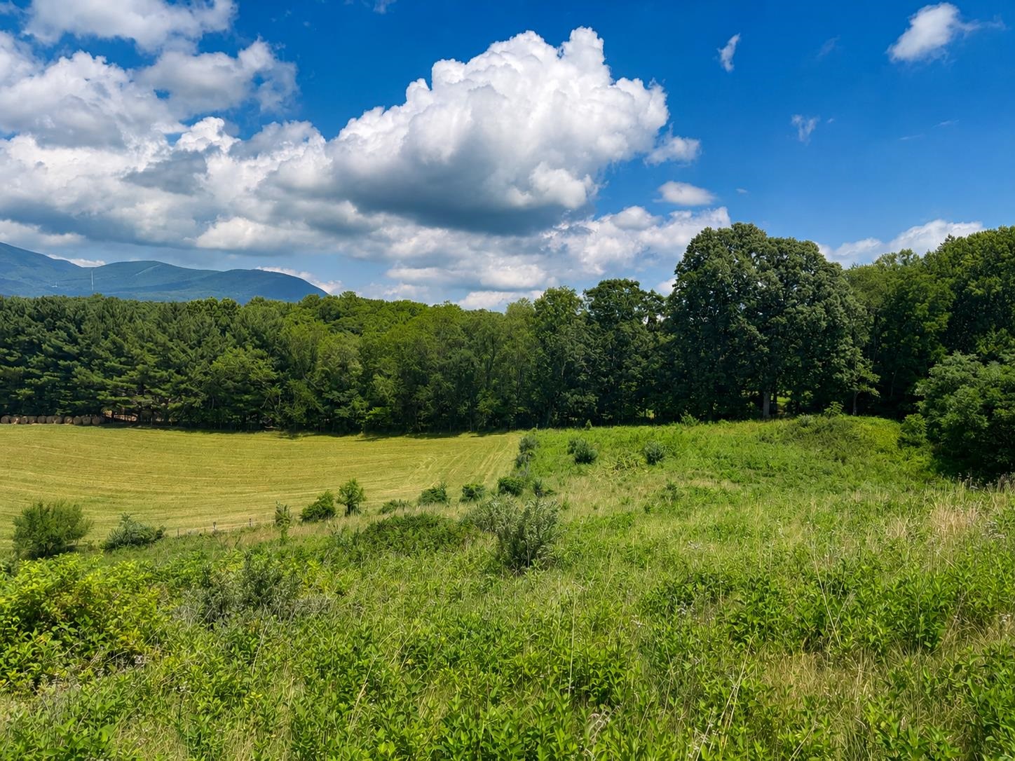 Lot 7 Panorama Drive Pembroke VA 24136