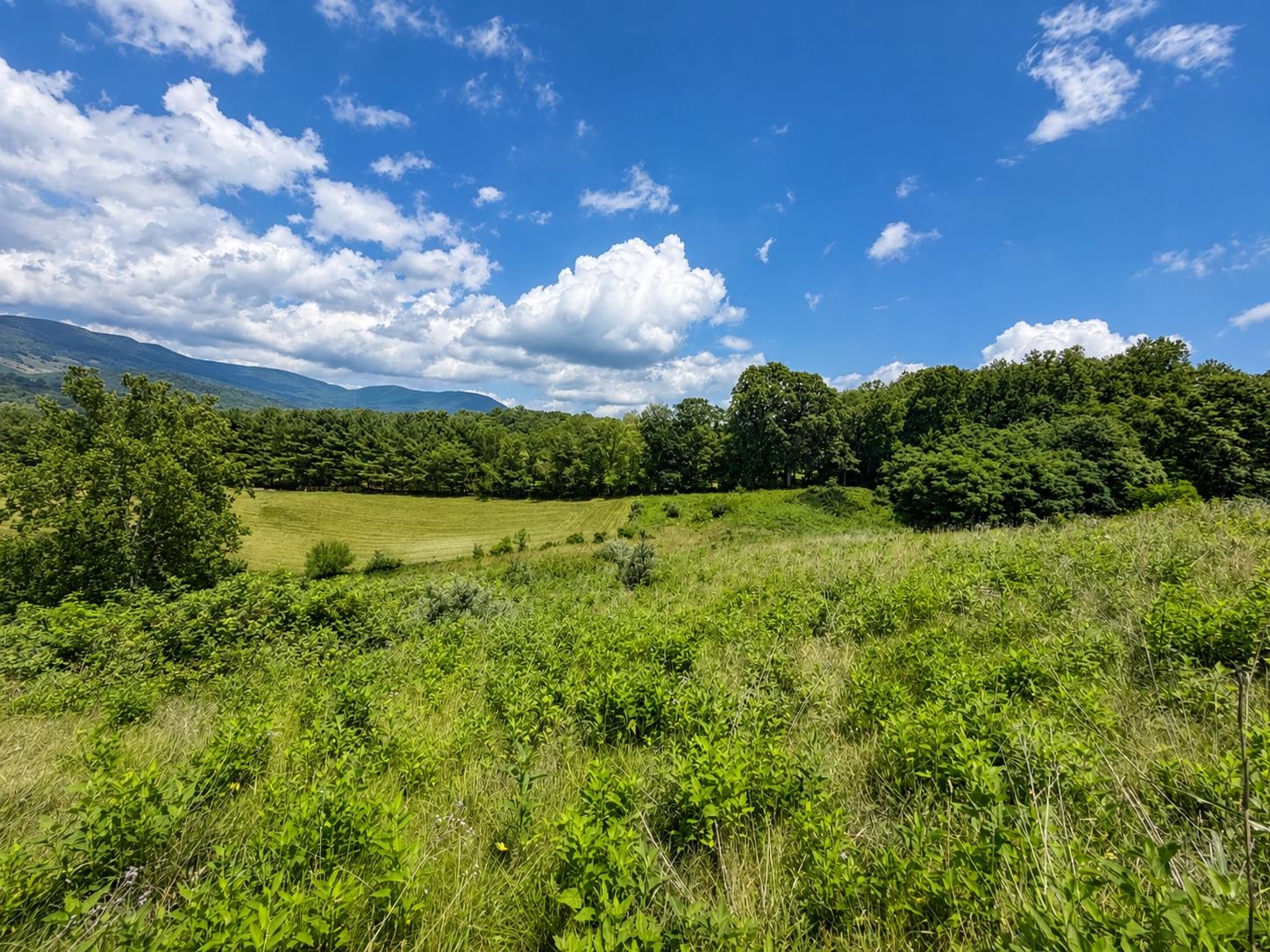 Lot 7 Panorama Drive Pembroke VA 24136