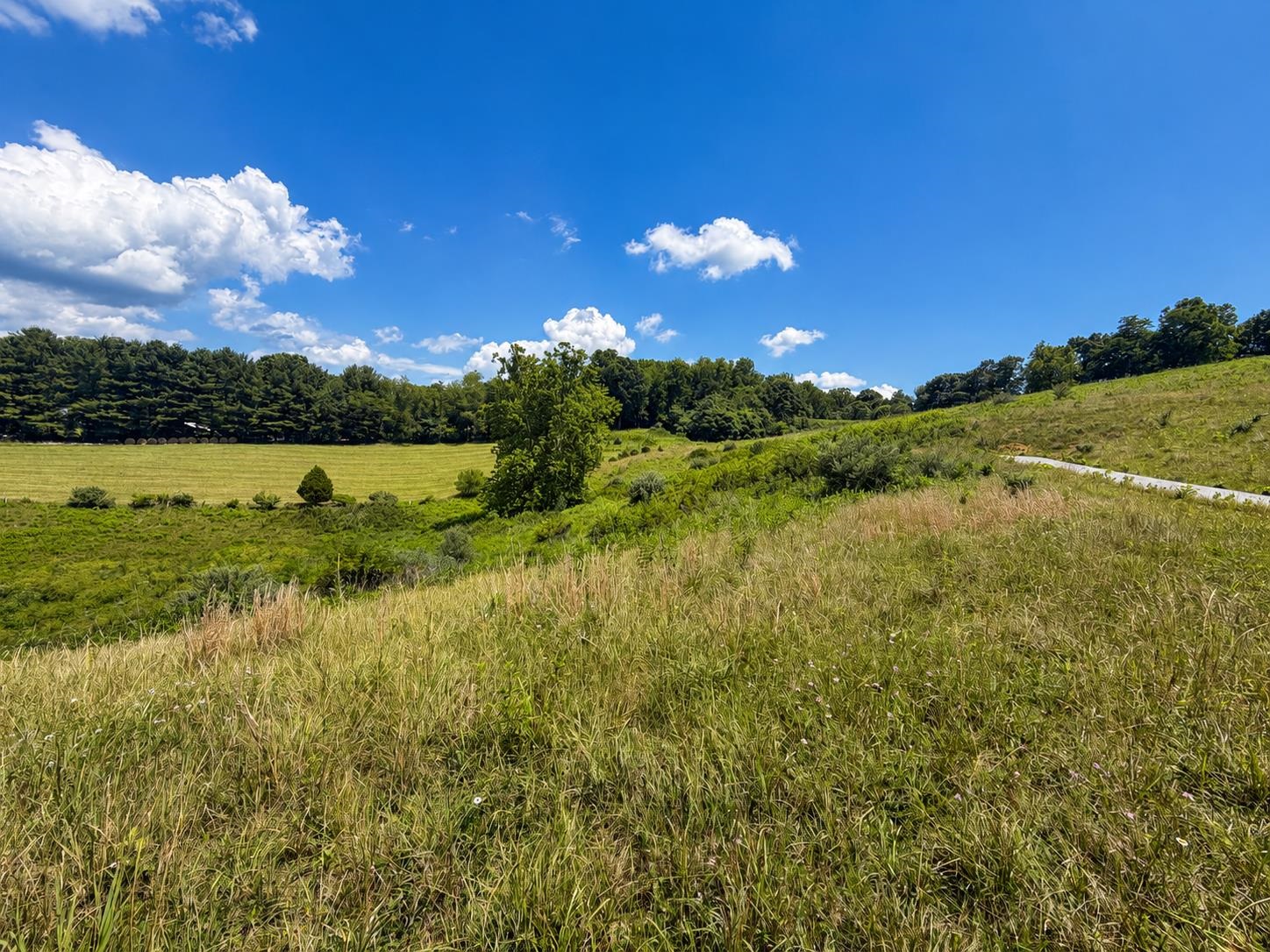 Lot 7 Panorama Drive Pembroke VA 24136