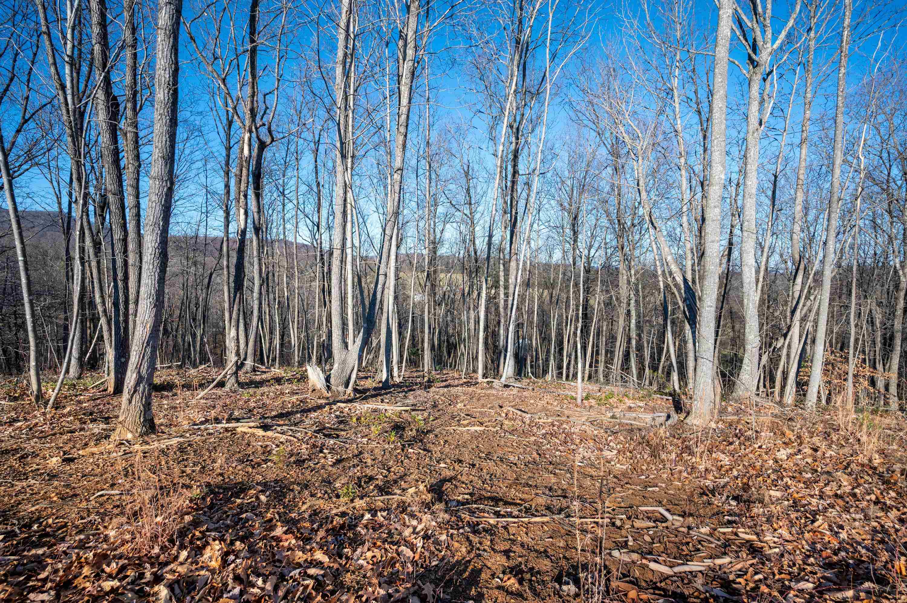 1590 Mill House Road Woolwine VA 24185