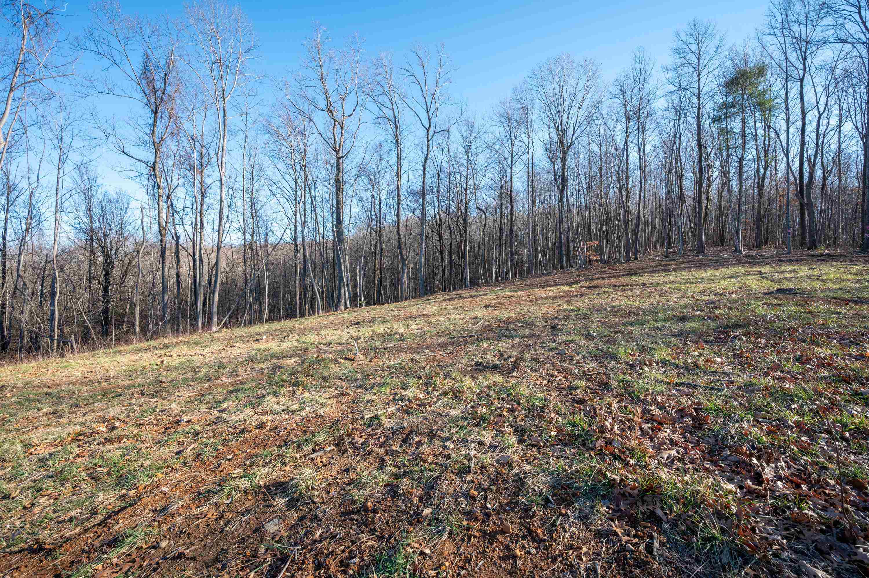 1590 Mill House Road Woolwine VA 24185