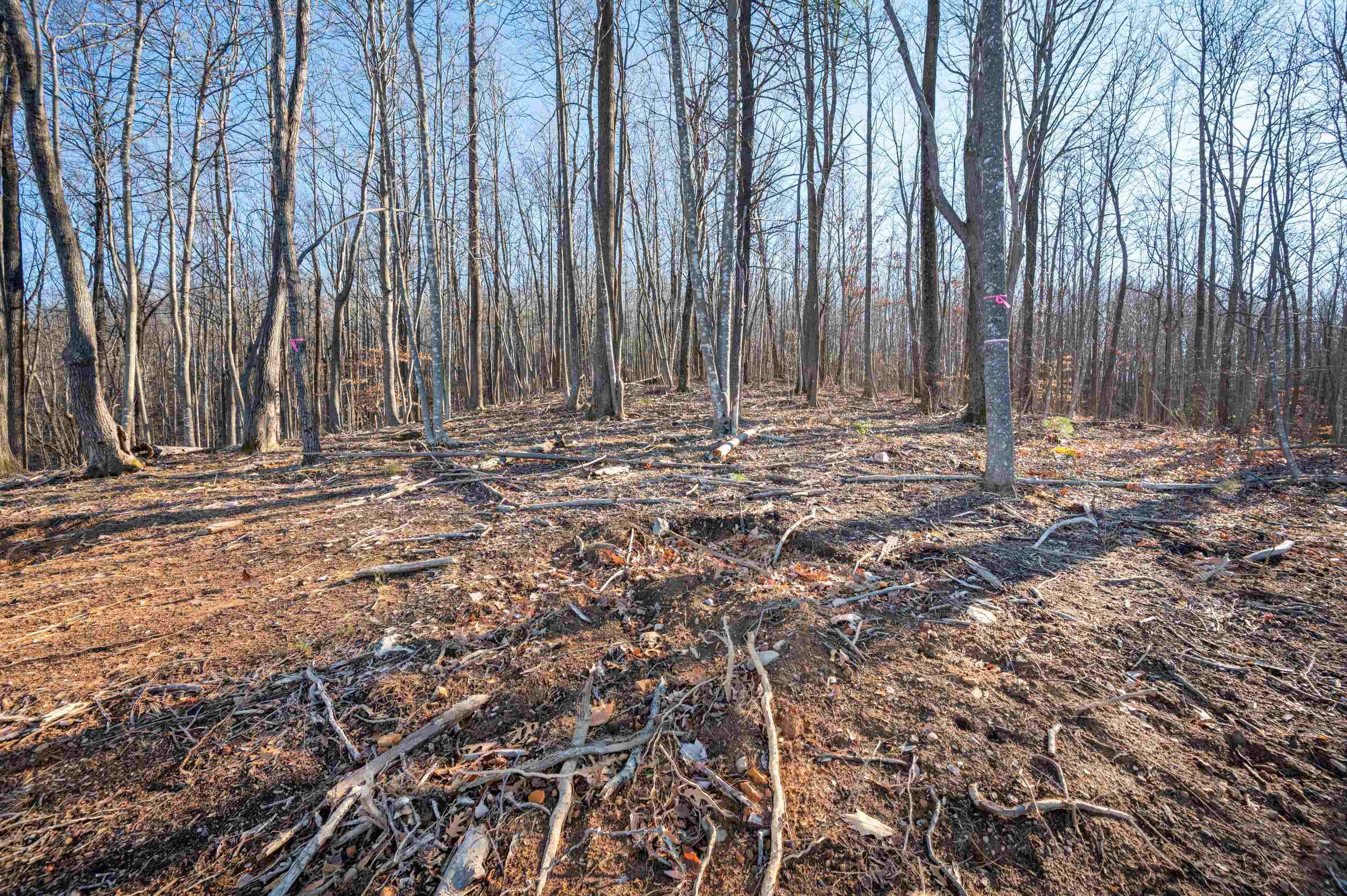 1590 Mill House Road Woolwine VA 24185