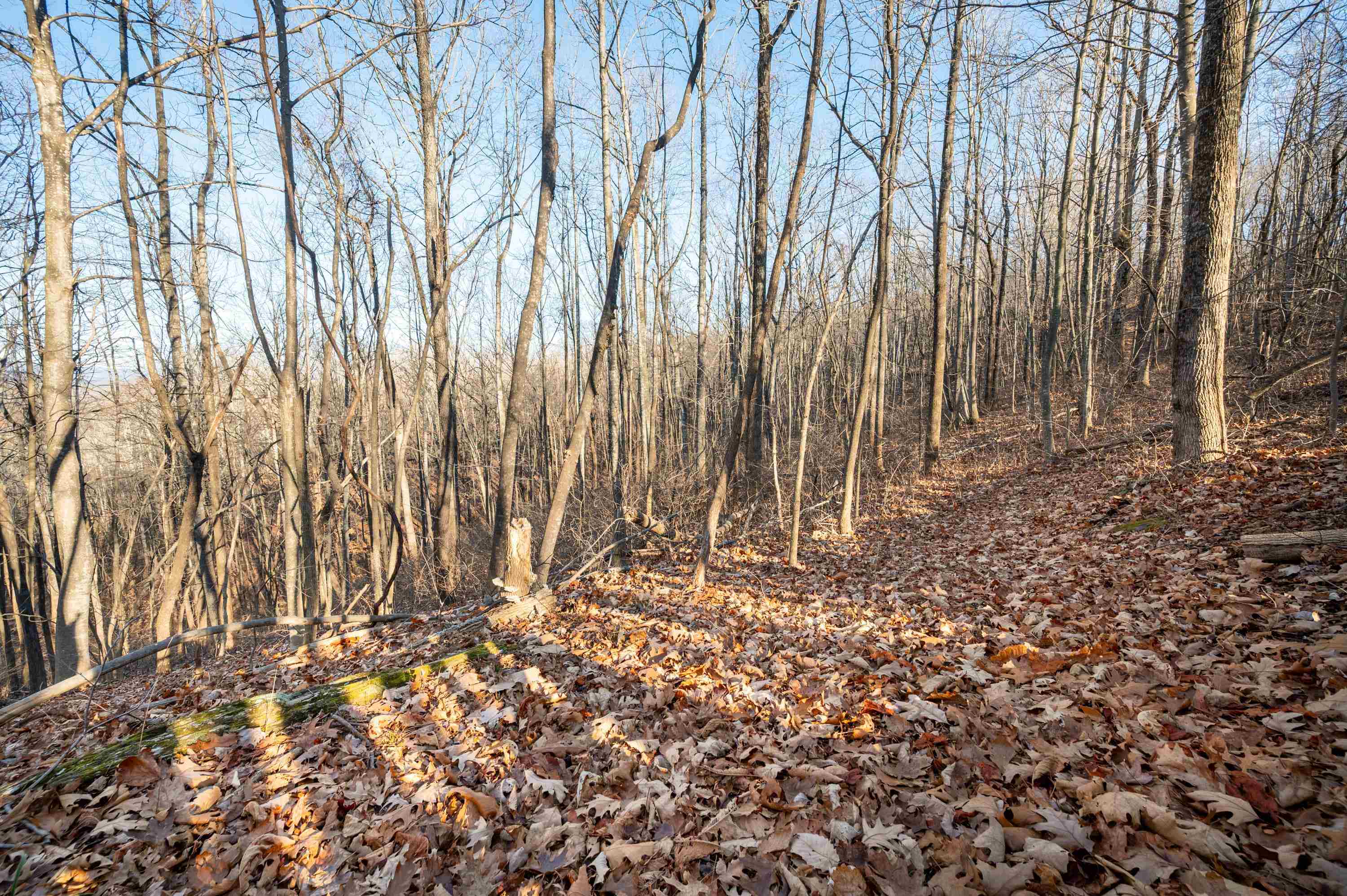 1590 Mill House Road Woolwine VA 24185