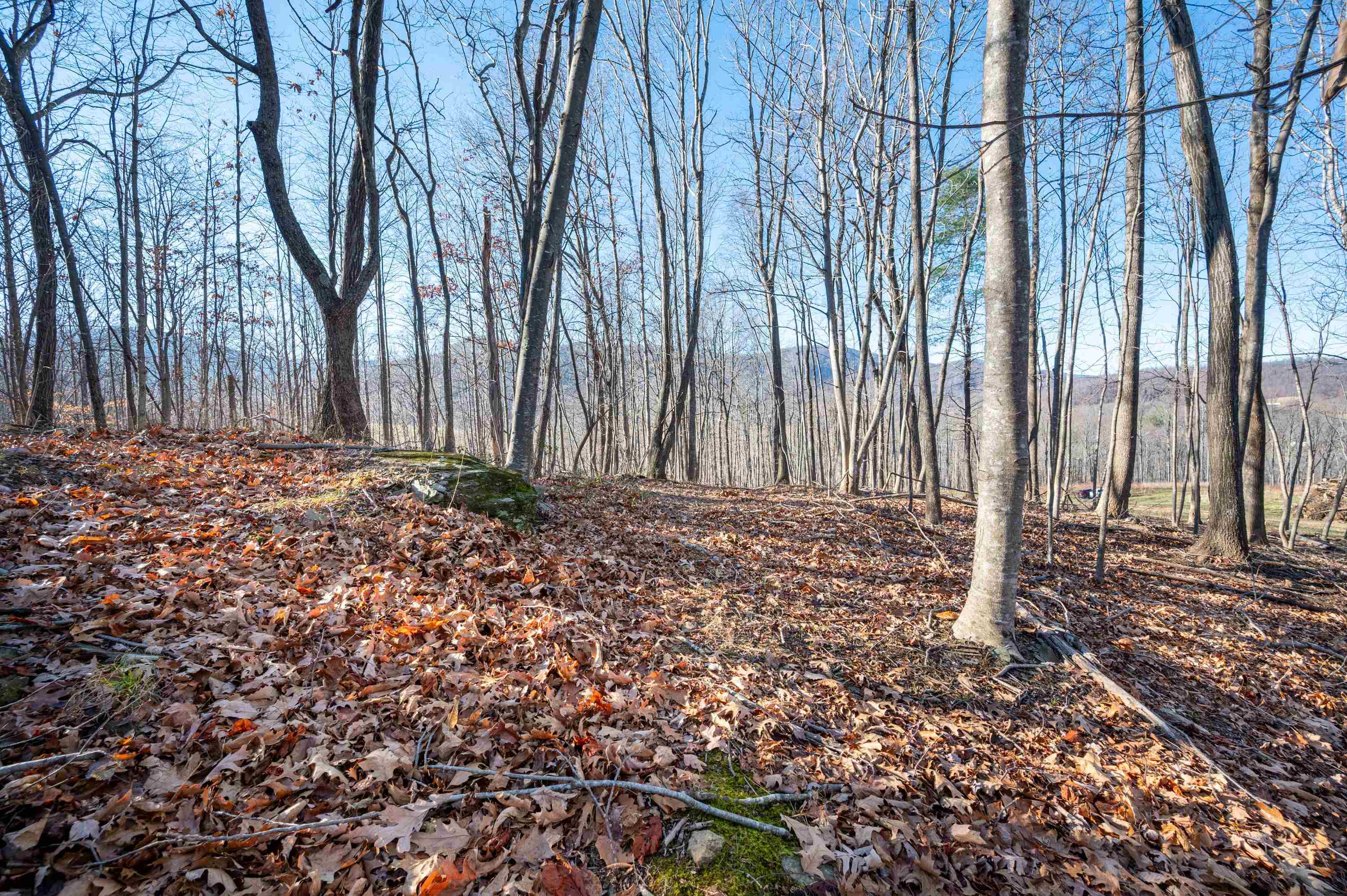 1590 Mill House Road Woolwine VA 24185