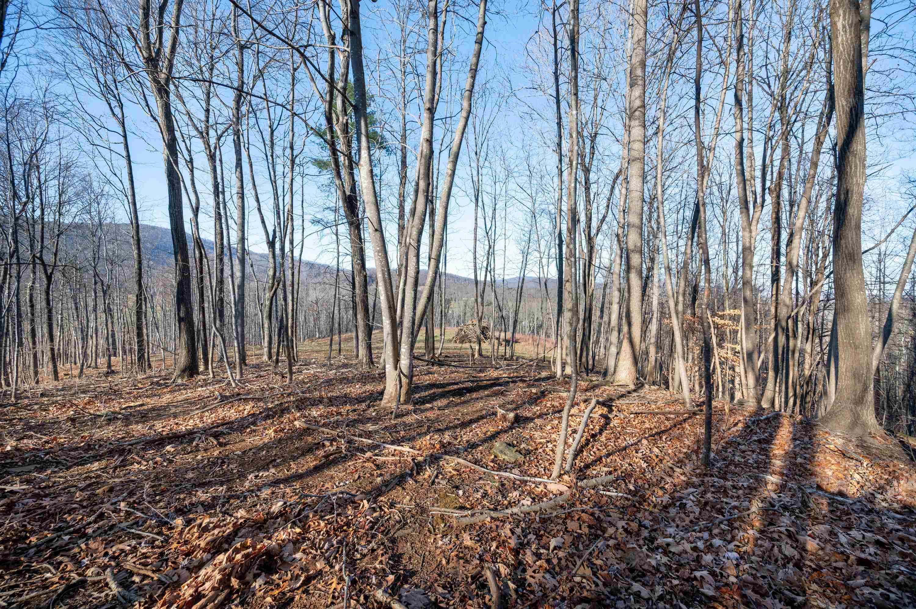 1590 Mill House Road Woolwine VA 24185