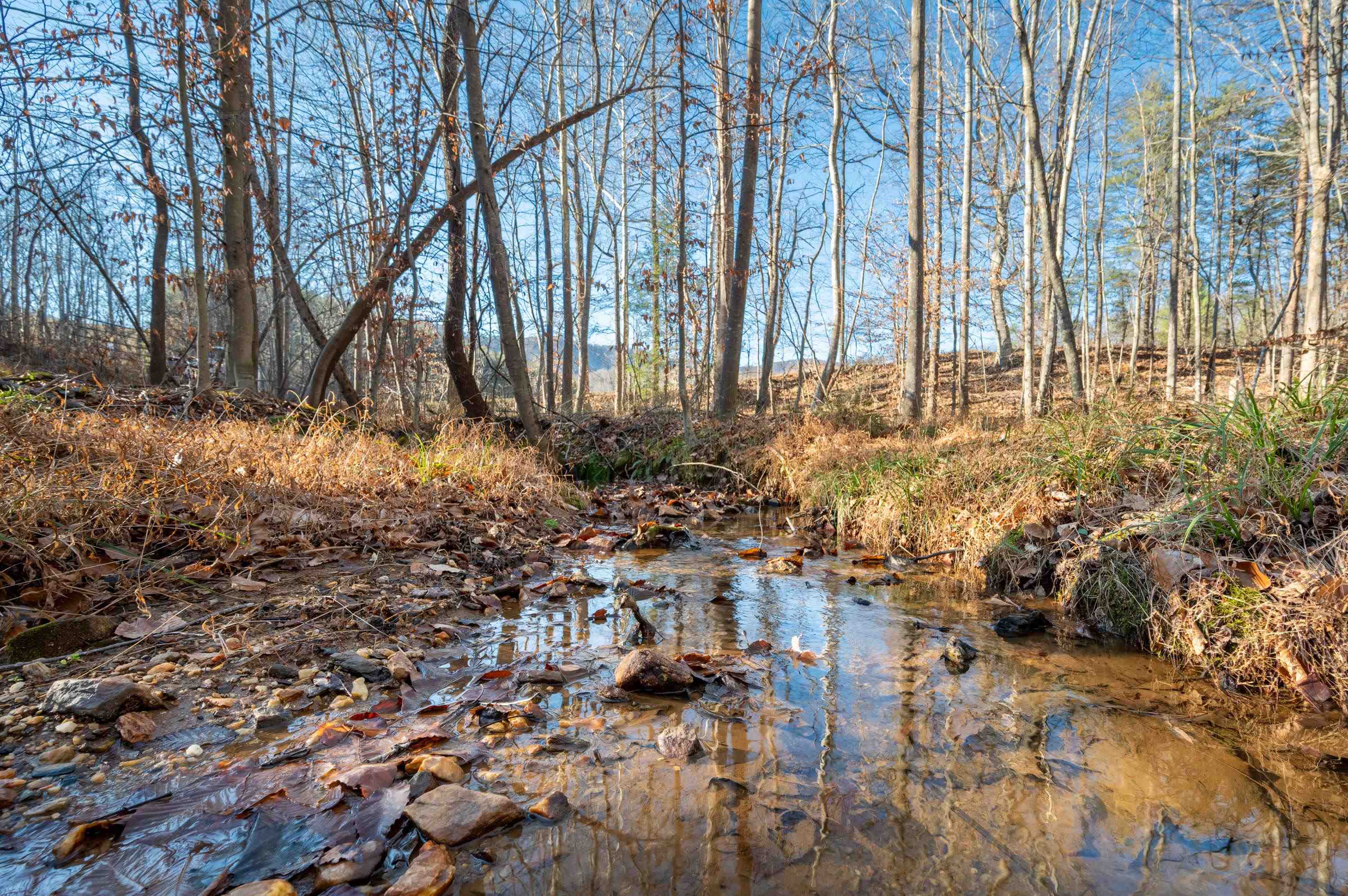 1590 Mill House Road Woolwine VA 24185