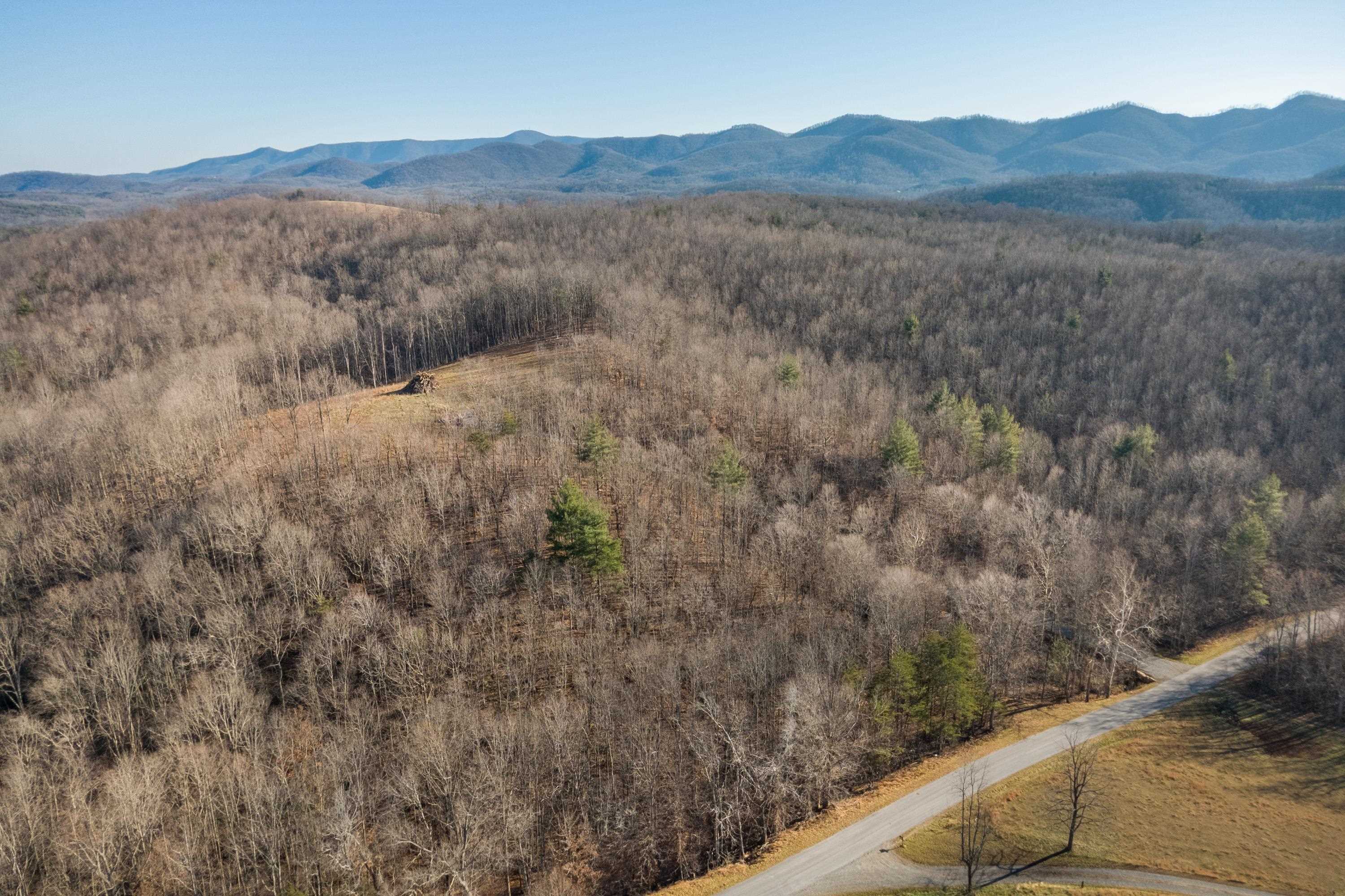 1590 Mill House Road Woolwine VA 24185