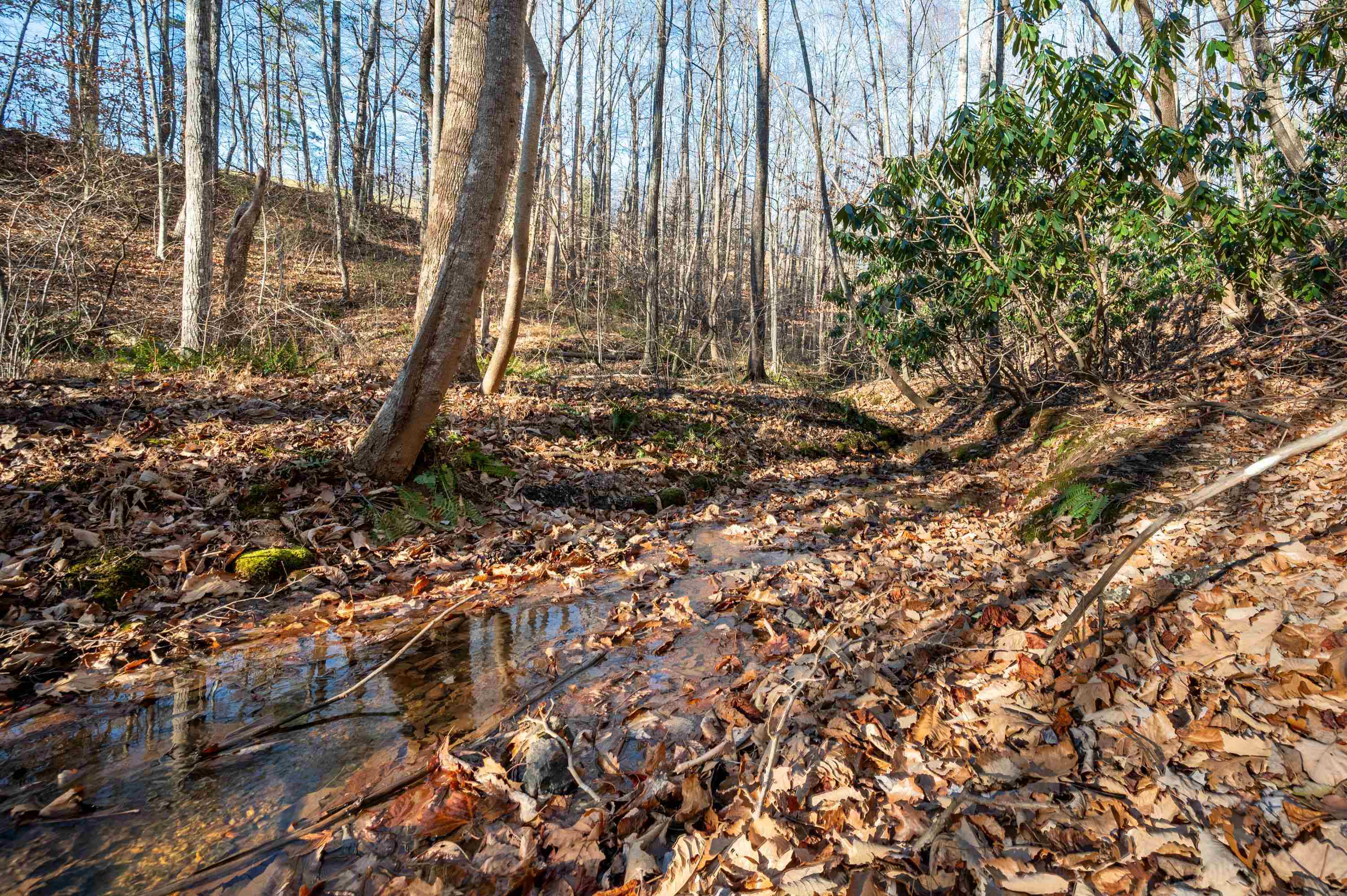 1590 Mill House Road Woolwine VA 24185